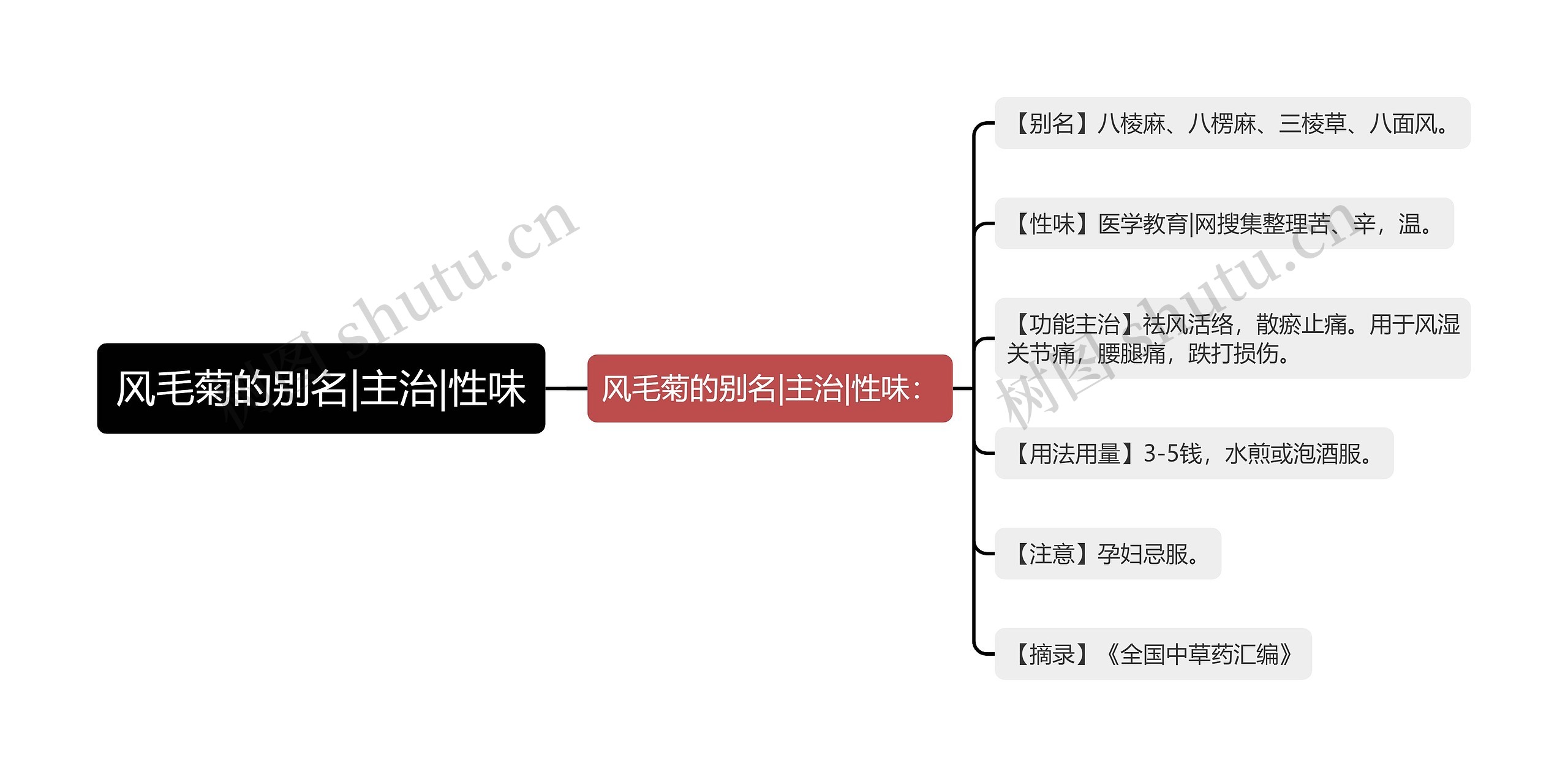 风毛菊的别名|主治|性味 风毛菊的别名|主治|性味