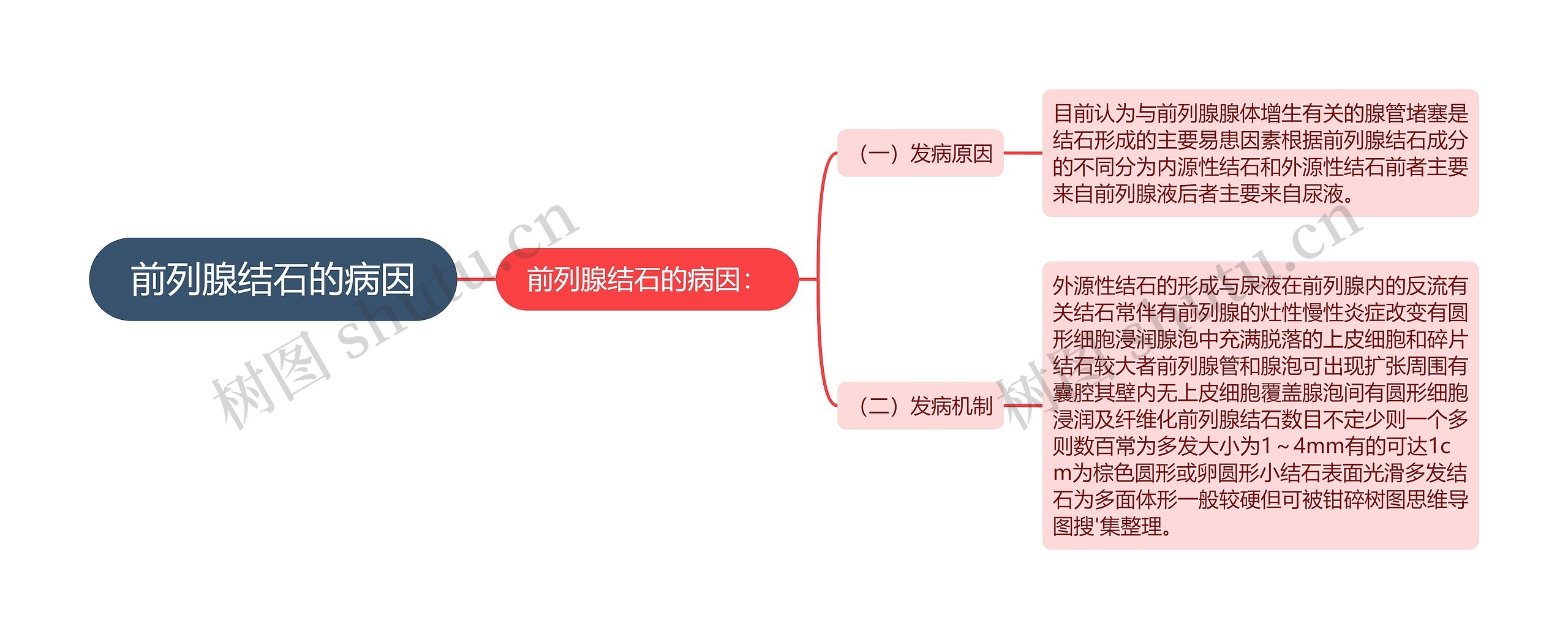 前列腺结石的病因思维导图