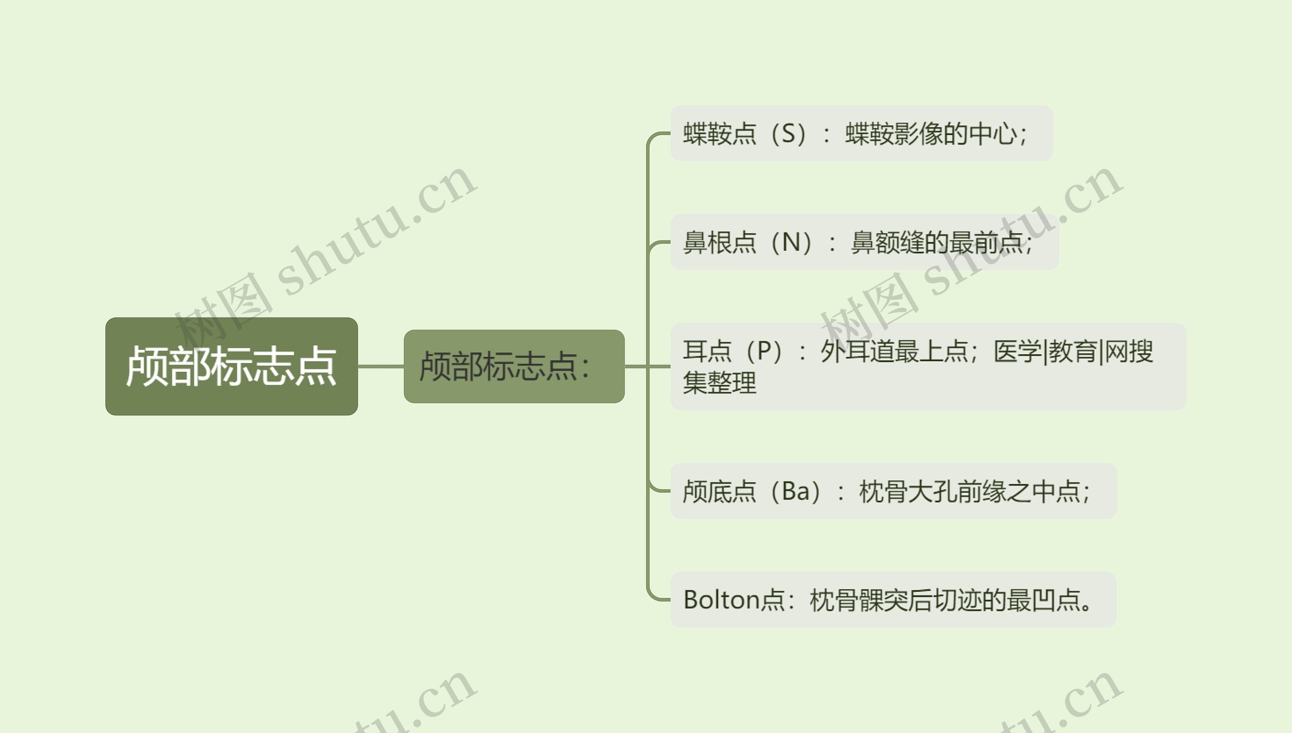 颅部标志点