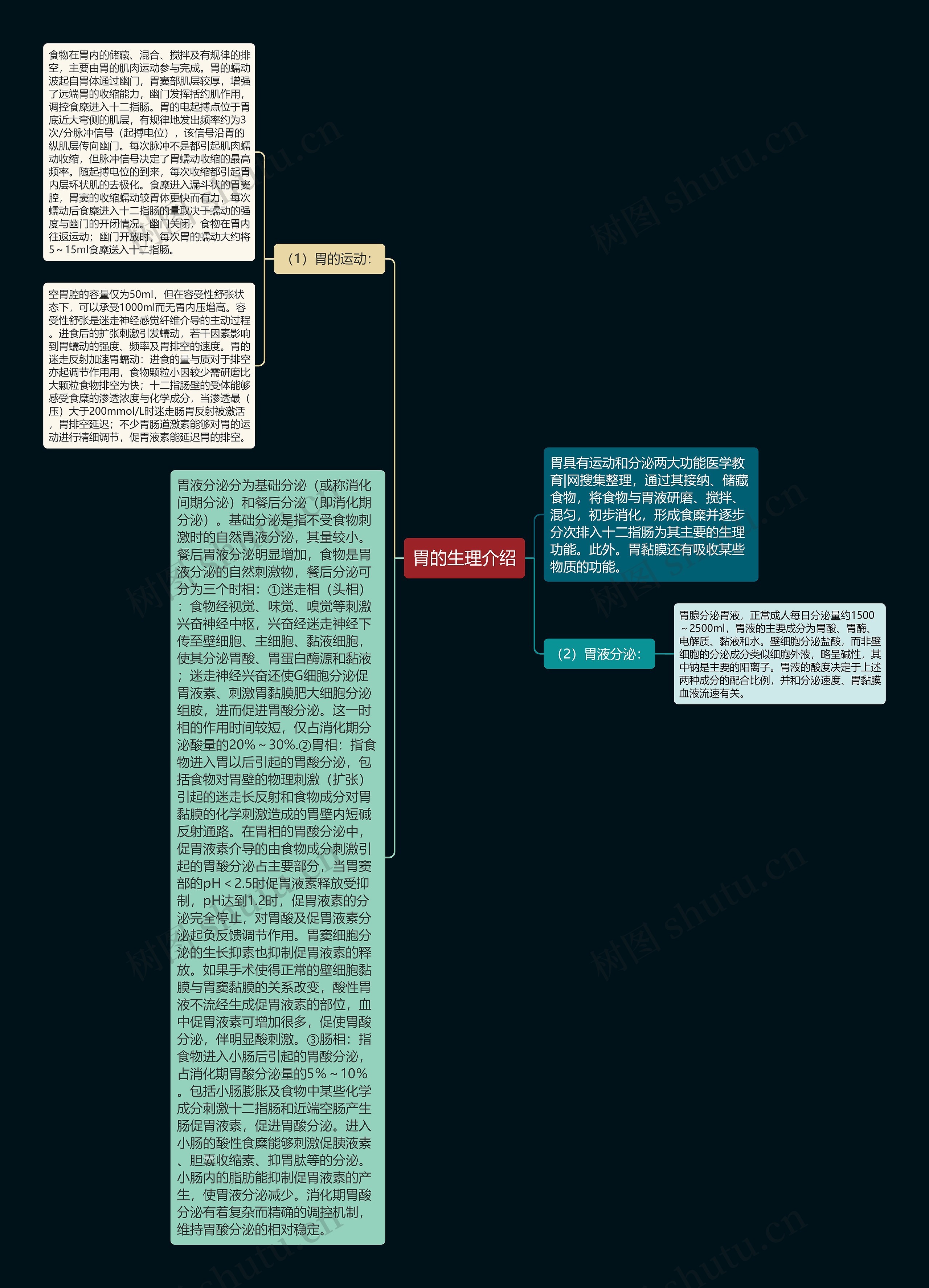 胃的生理介绍思维导图