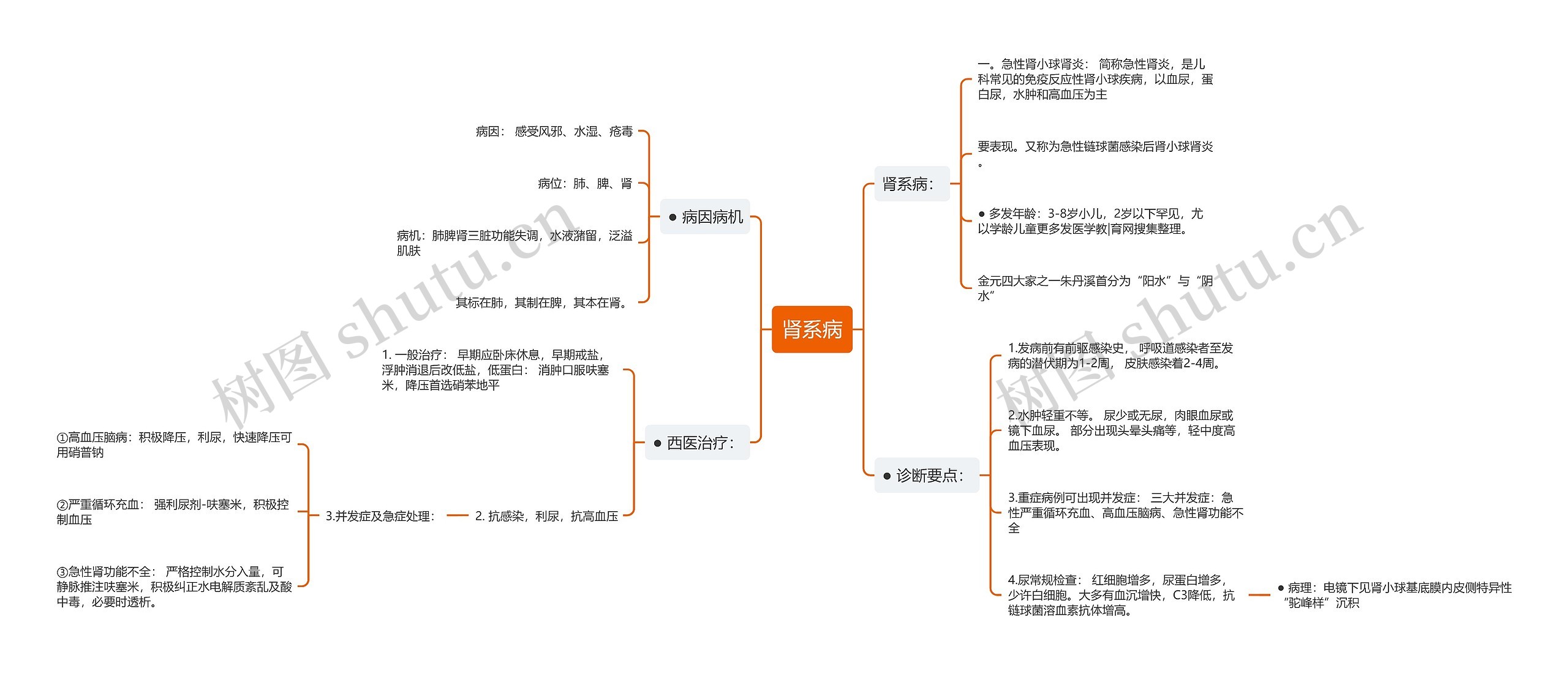 肾系病思维导图