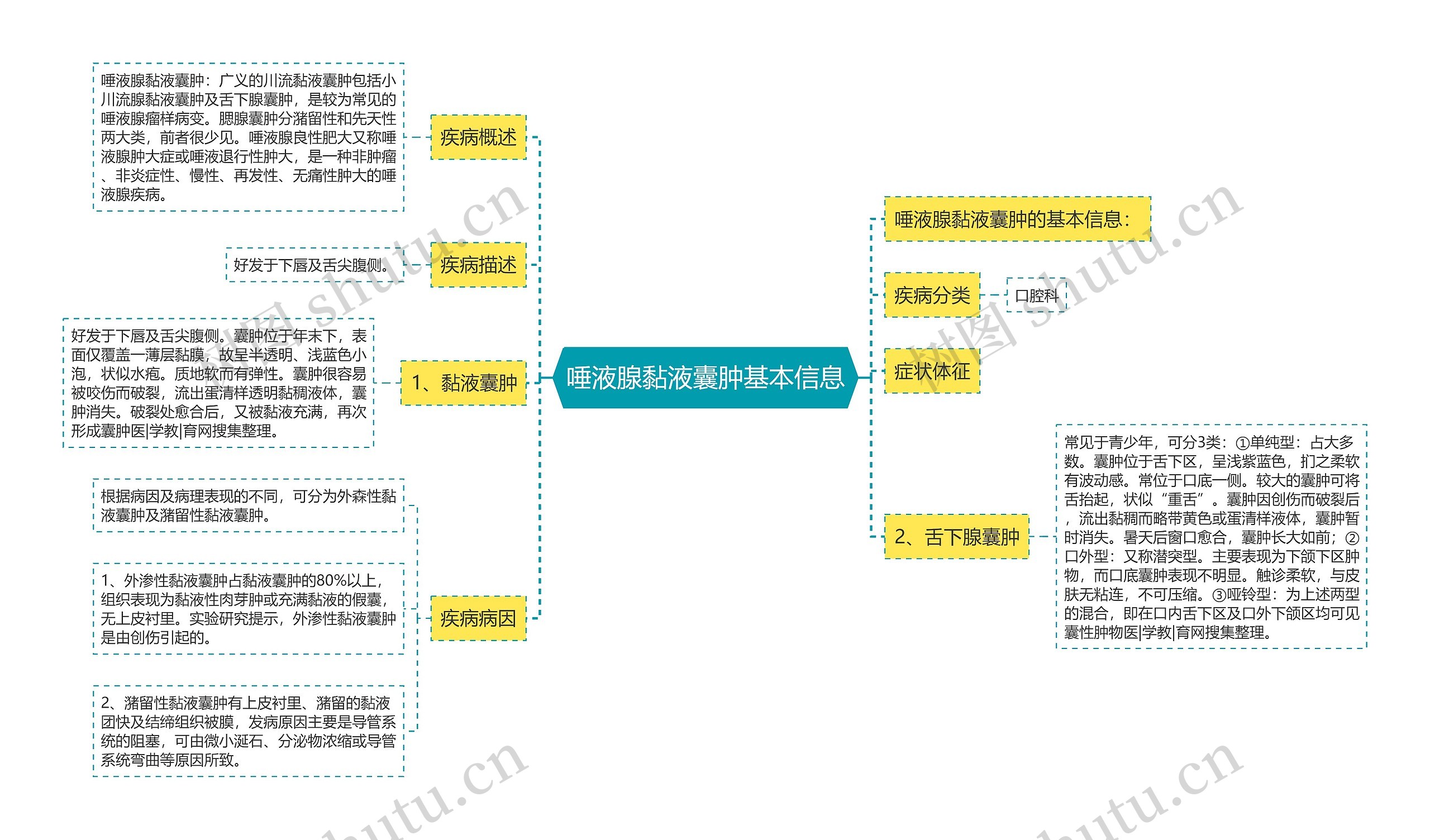 唾液腺黏液囊肿基本信息思维导图