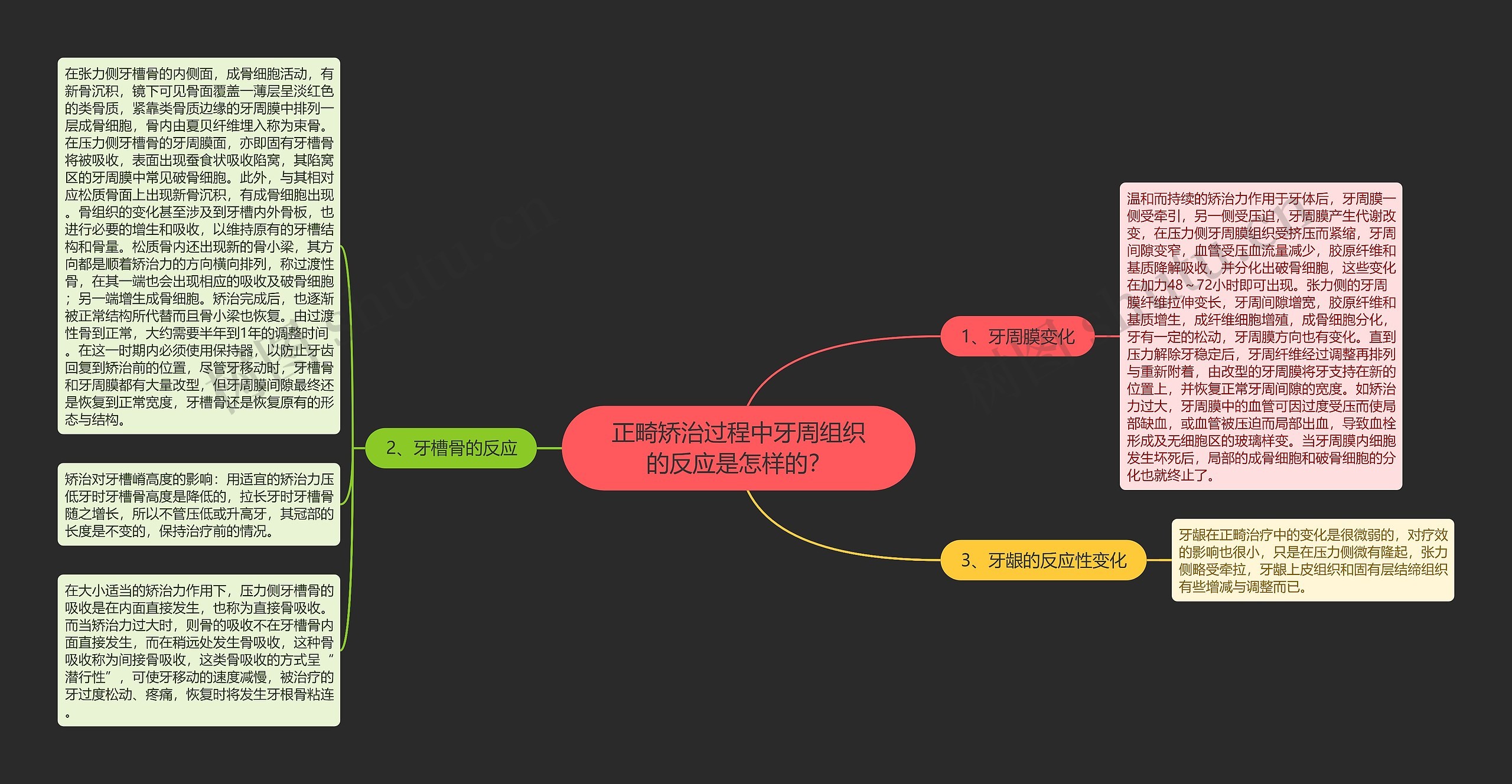 正畸矫治过程中牙周组织的反应是怎样的？思维导图