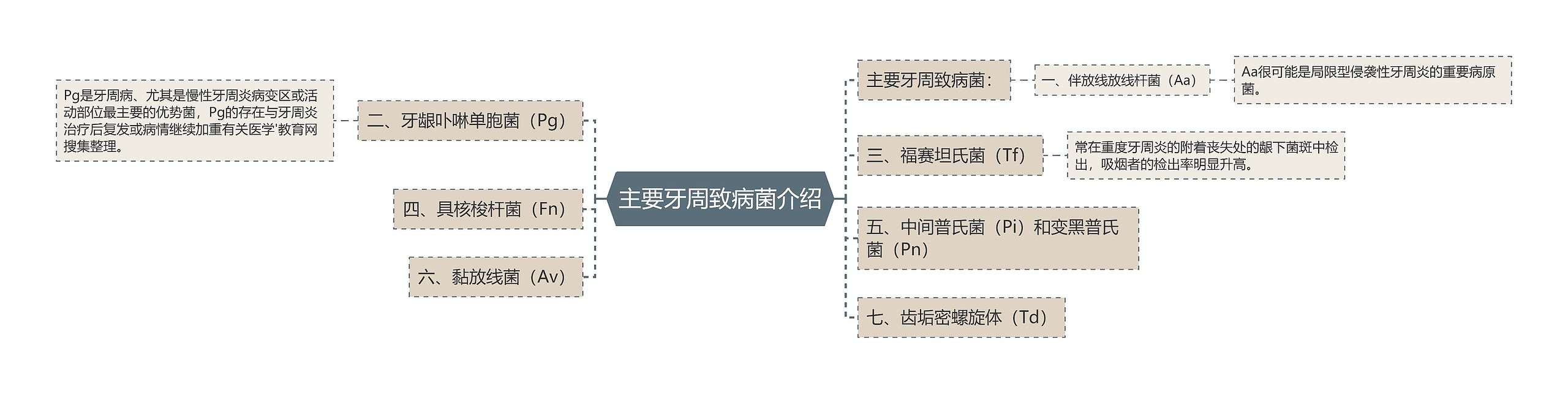 主要牙周致病菌介绍思维导图