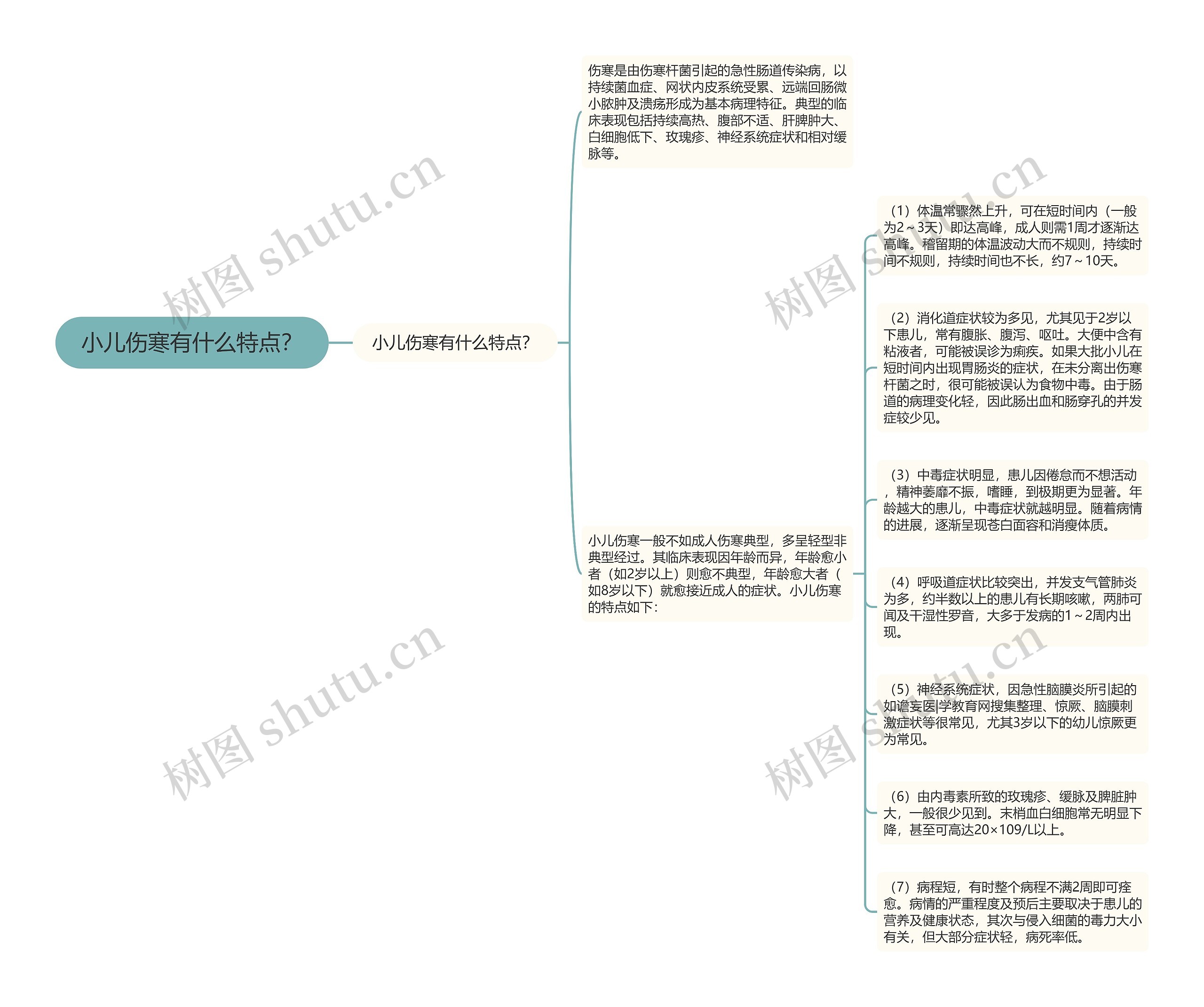 小儿伤寒有什么特点？思维导图