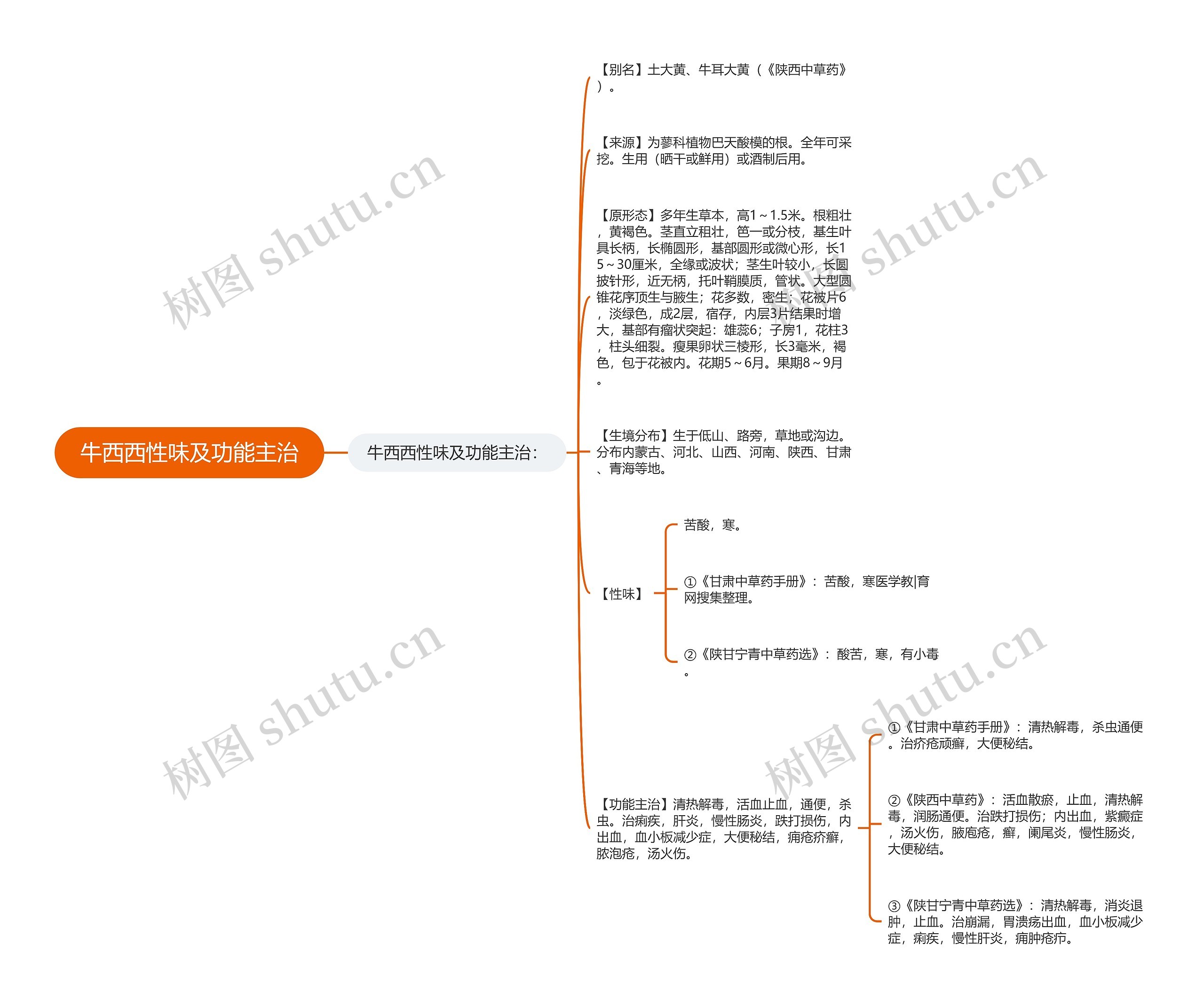 牛西西性味及功能主治思维导图