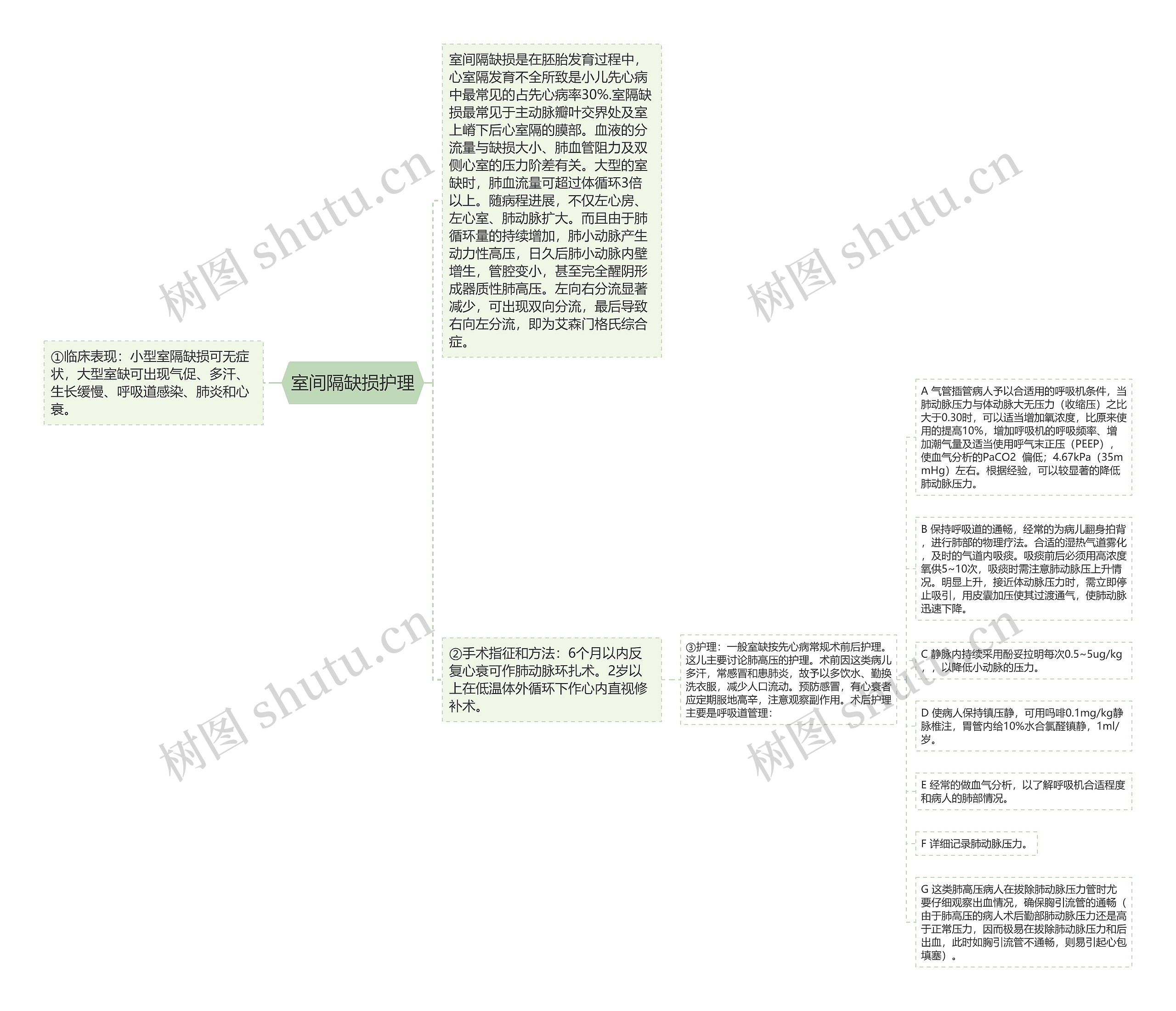 室间隔缺损护理思维导图