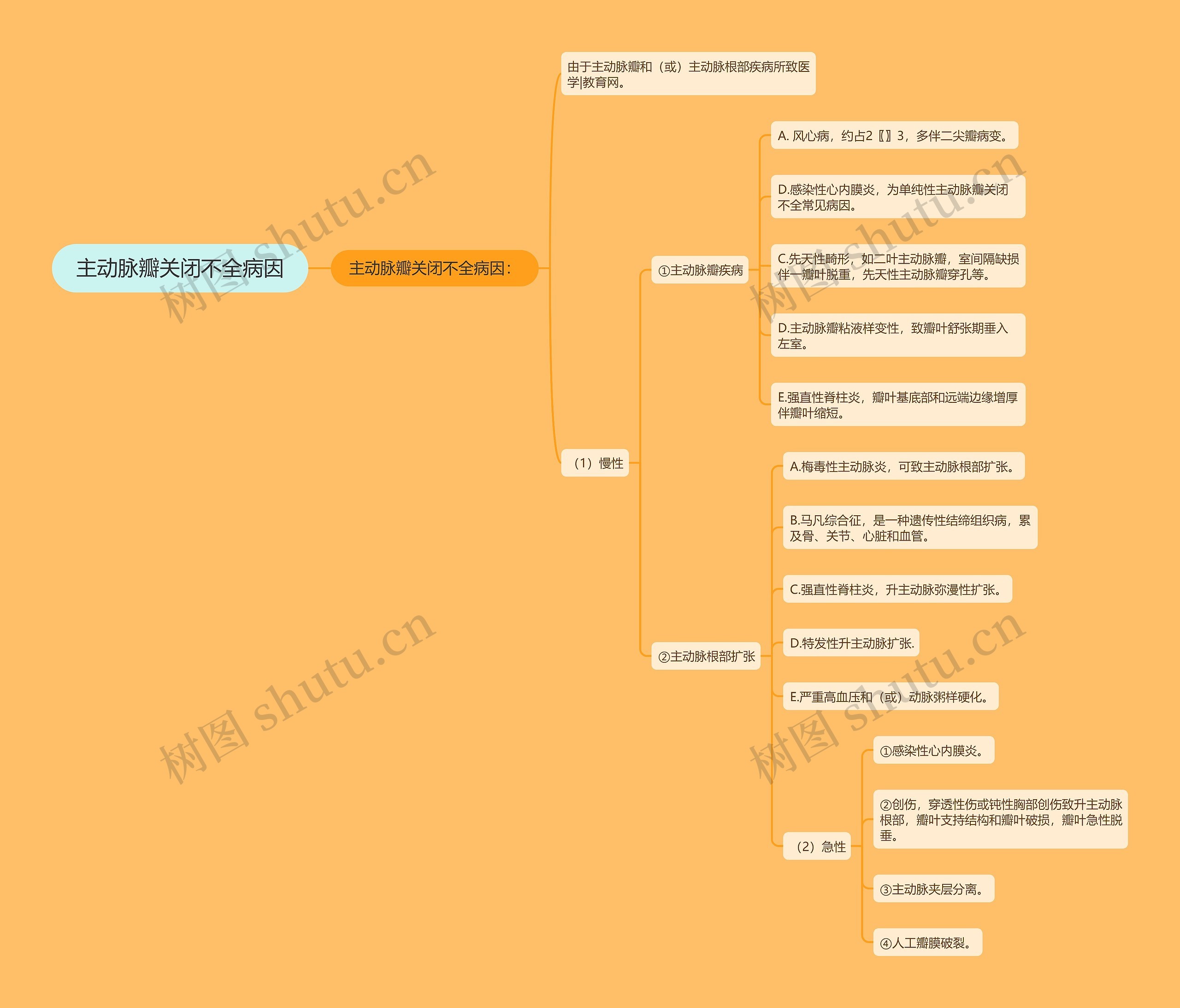 主动脉瓣关闭不全病因 主动脉瓣关闭不全病因