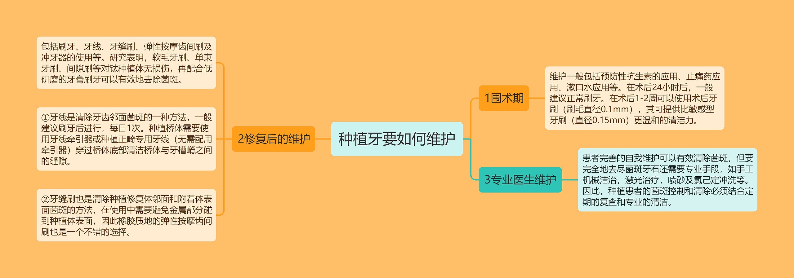 种植牙要如何维护思维导图