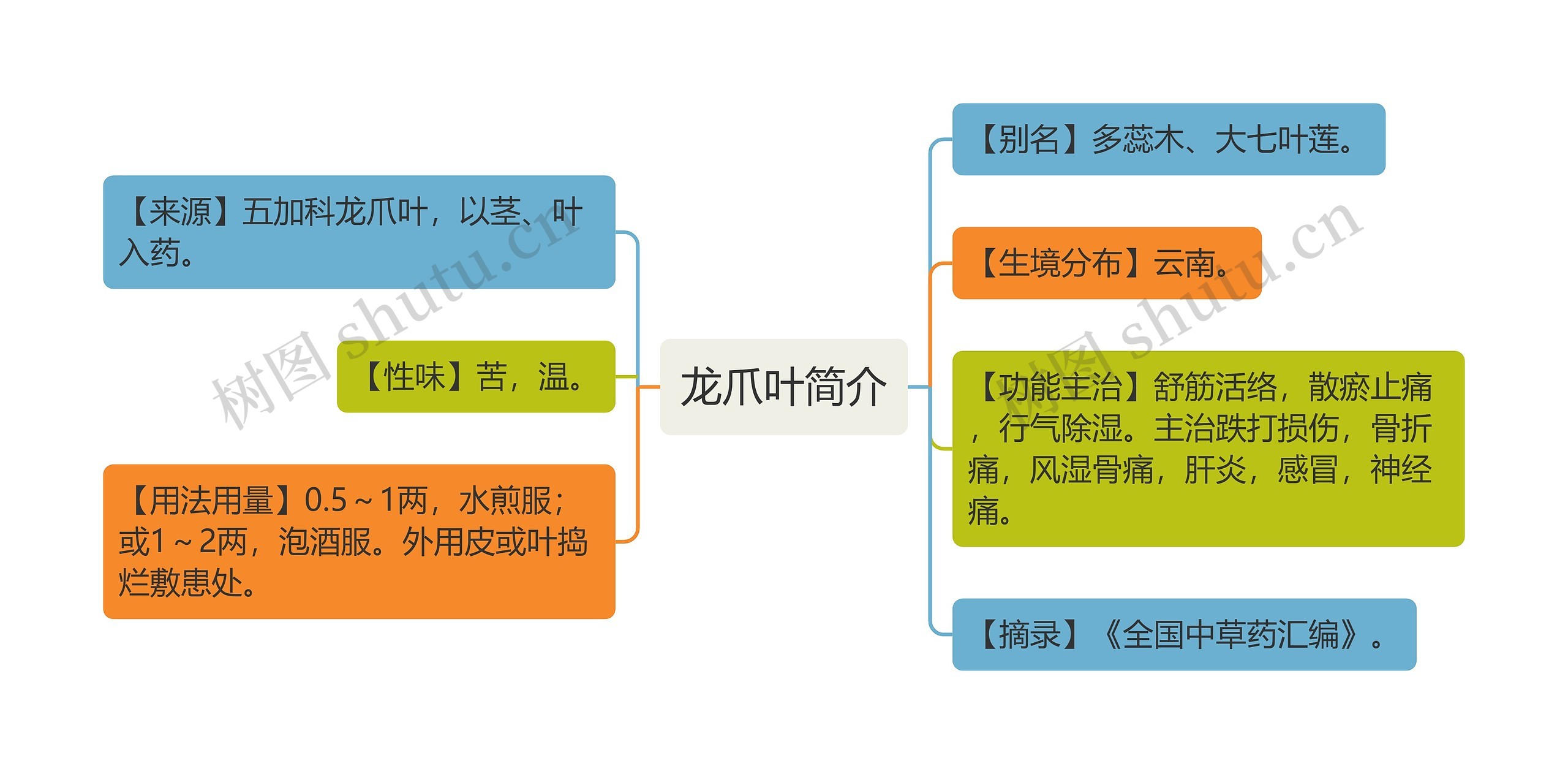 龙爪叶简介思维导图