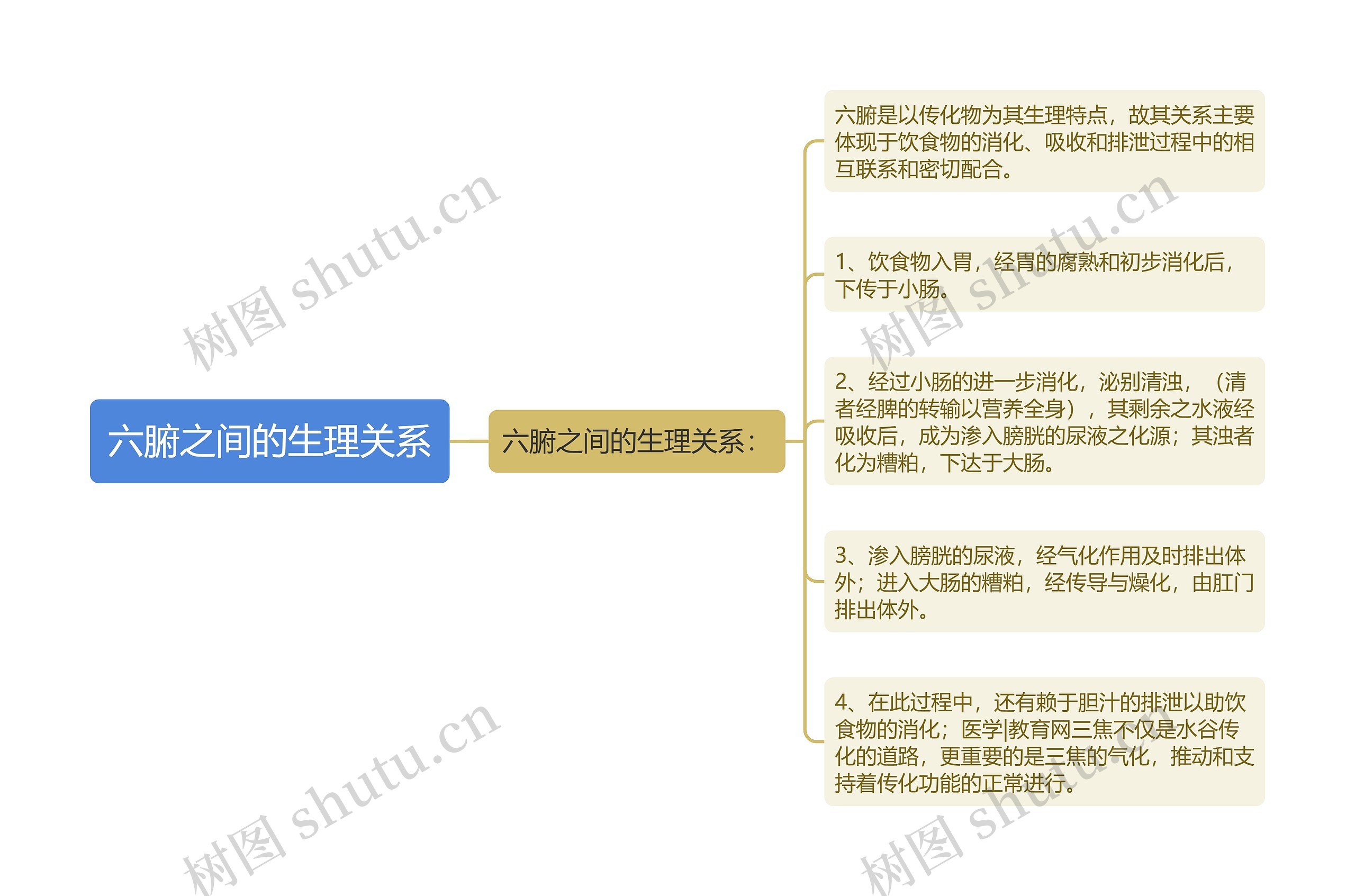 六腑之间的生理关系思维导图