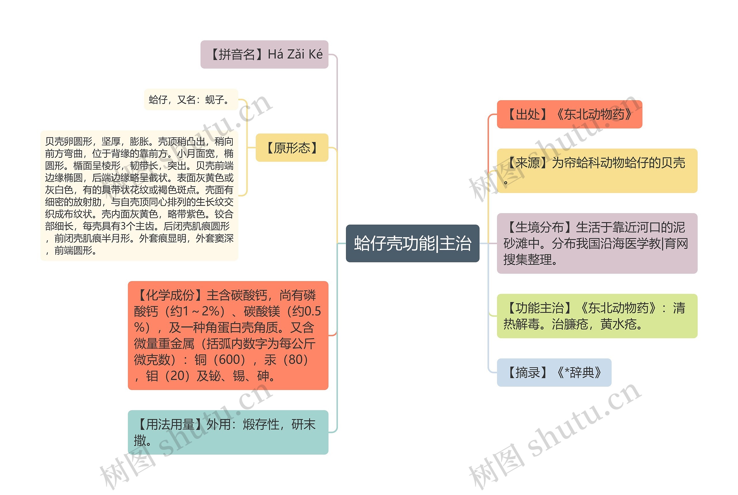 蛤仔壳功能|主治思维导图