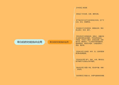 草白前的功能|临床应用