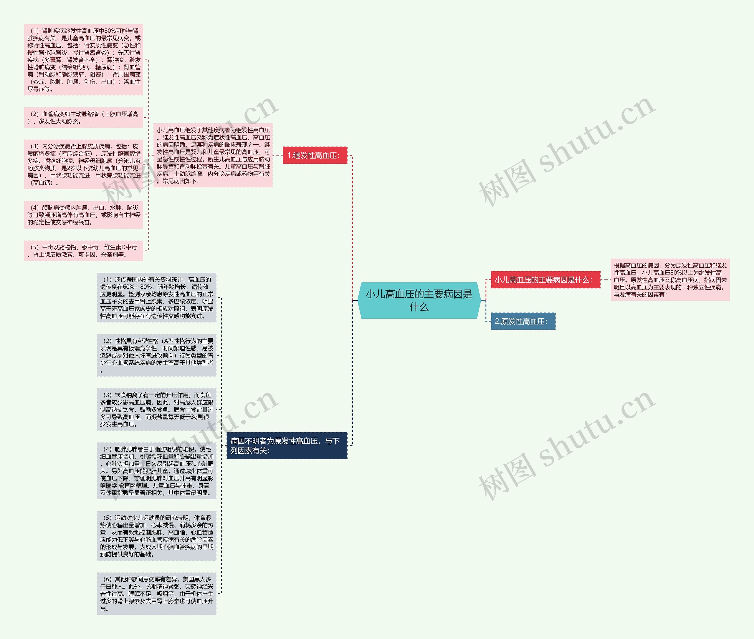 小儿高血压的主要病因是什么思维导图