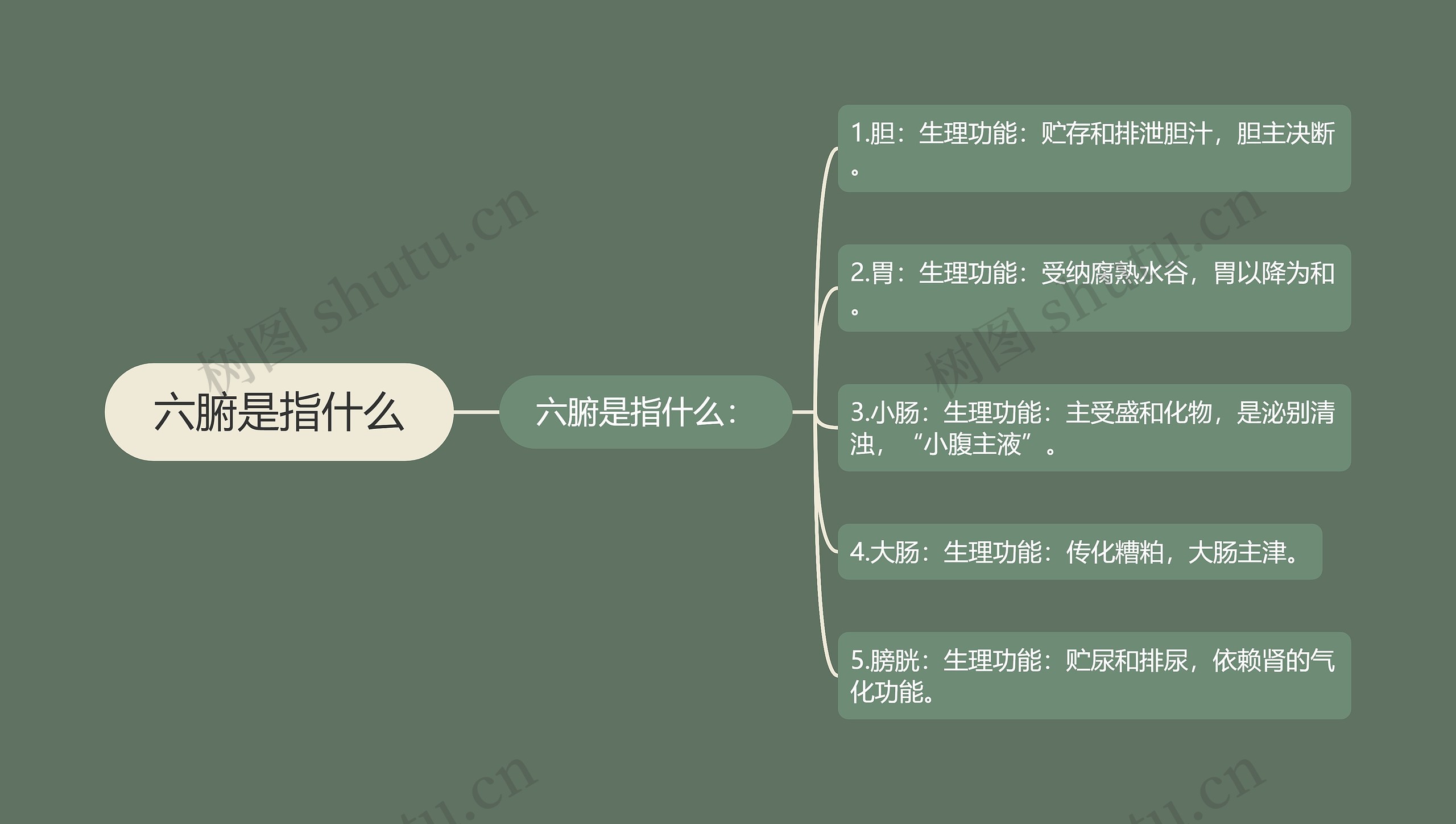 六腑是指什么思维导图