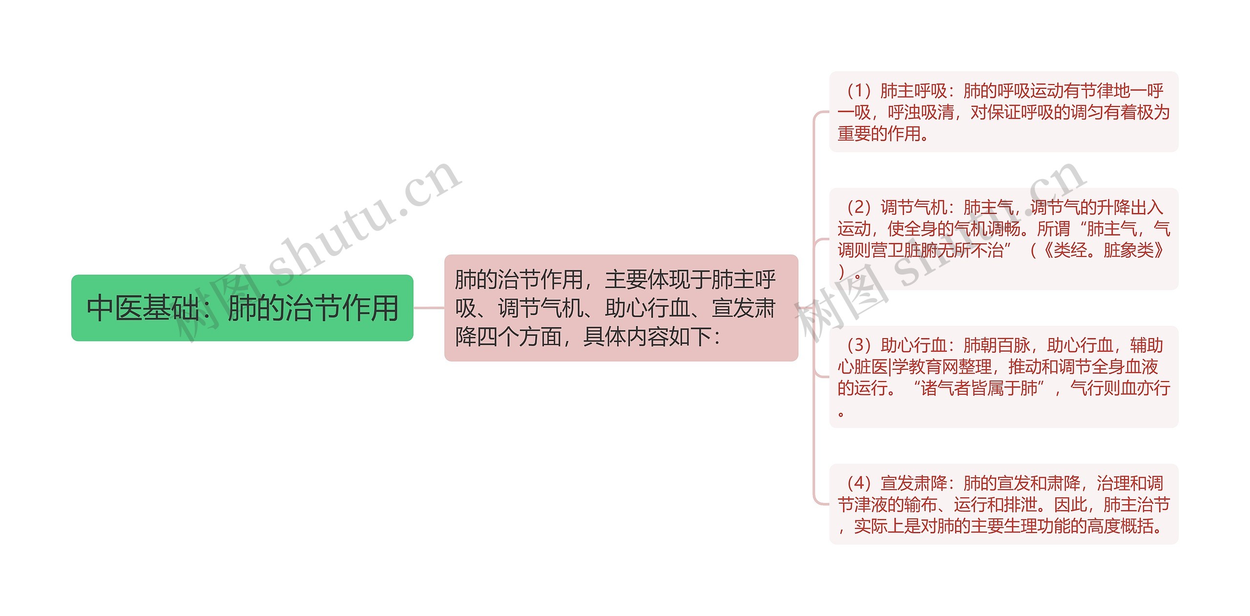 中医基础：肺的治节作用