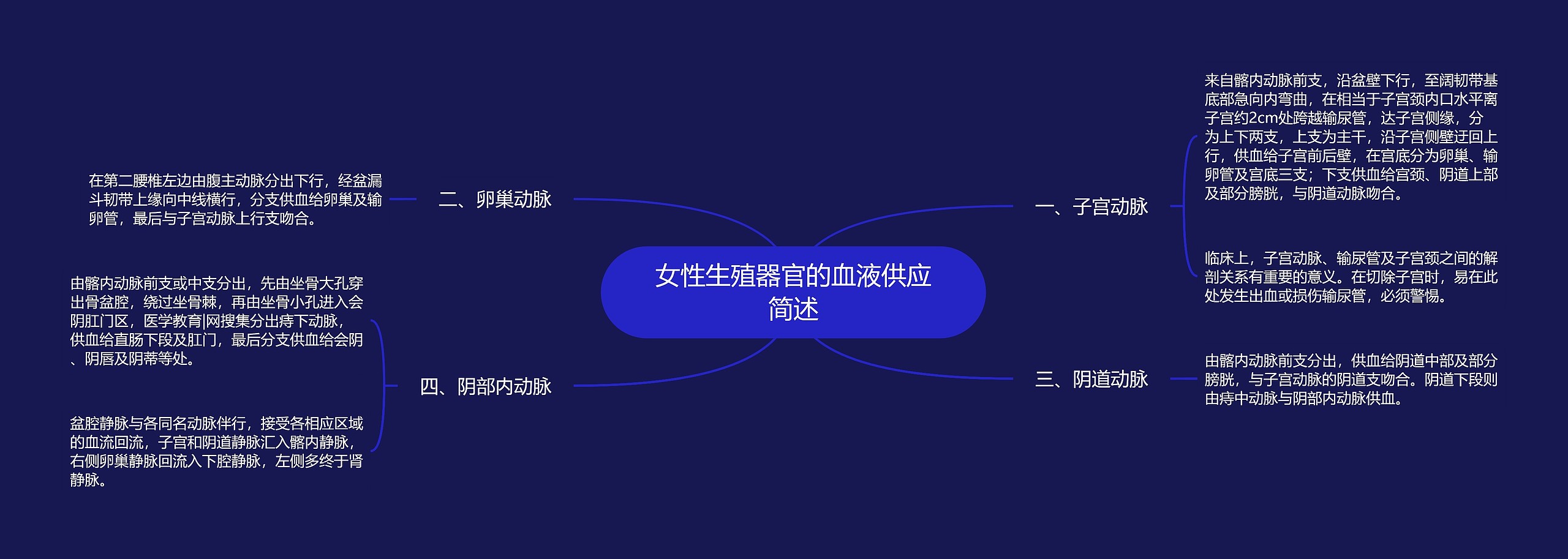 女性生殖器官的血液供应简述思维导图