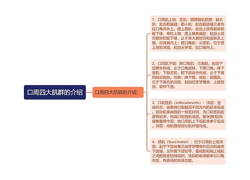 口周四大肌群的介绍