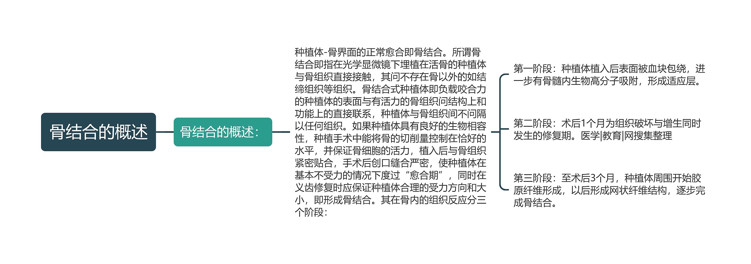 骨结合的概述 骨结合的概述