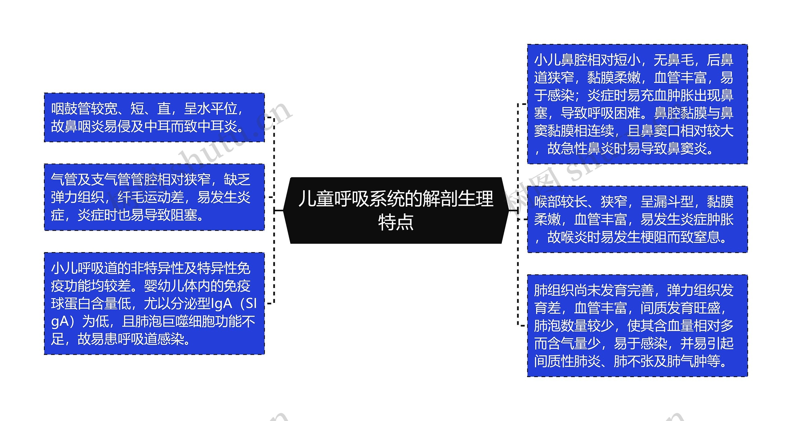 儿童呼吸系统的解剖生理特点