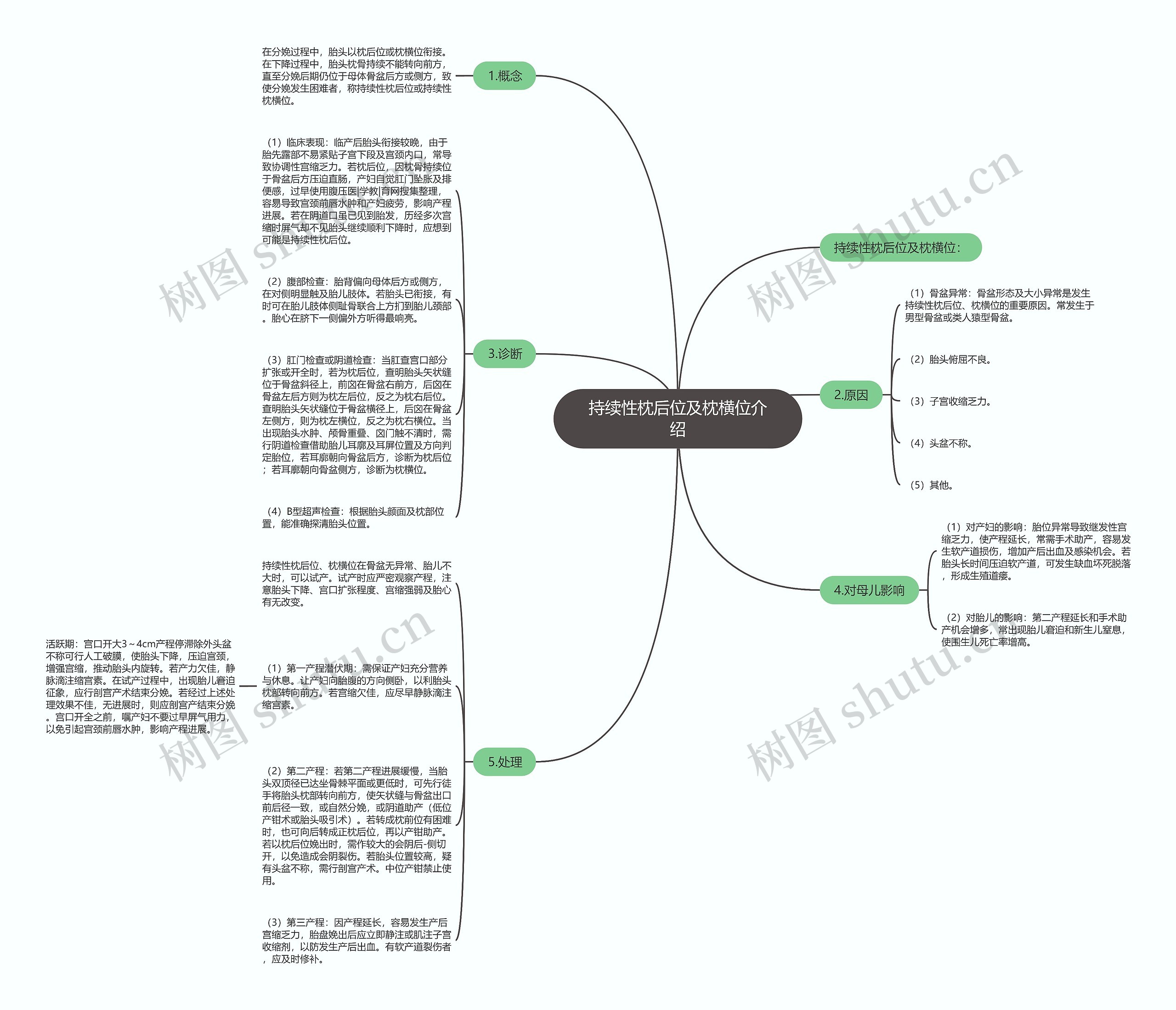 持续性枕后位及枕横位介绍思维导图