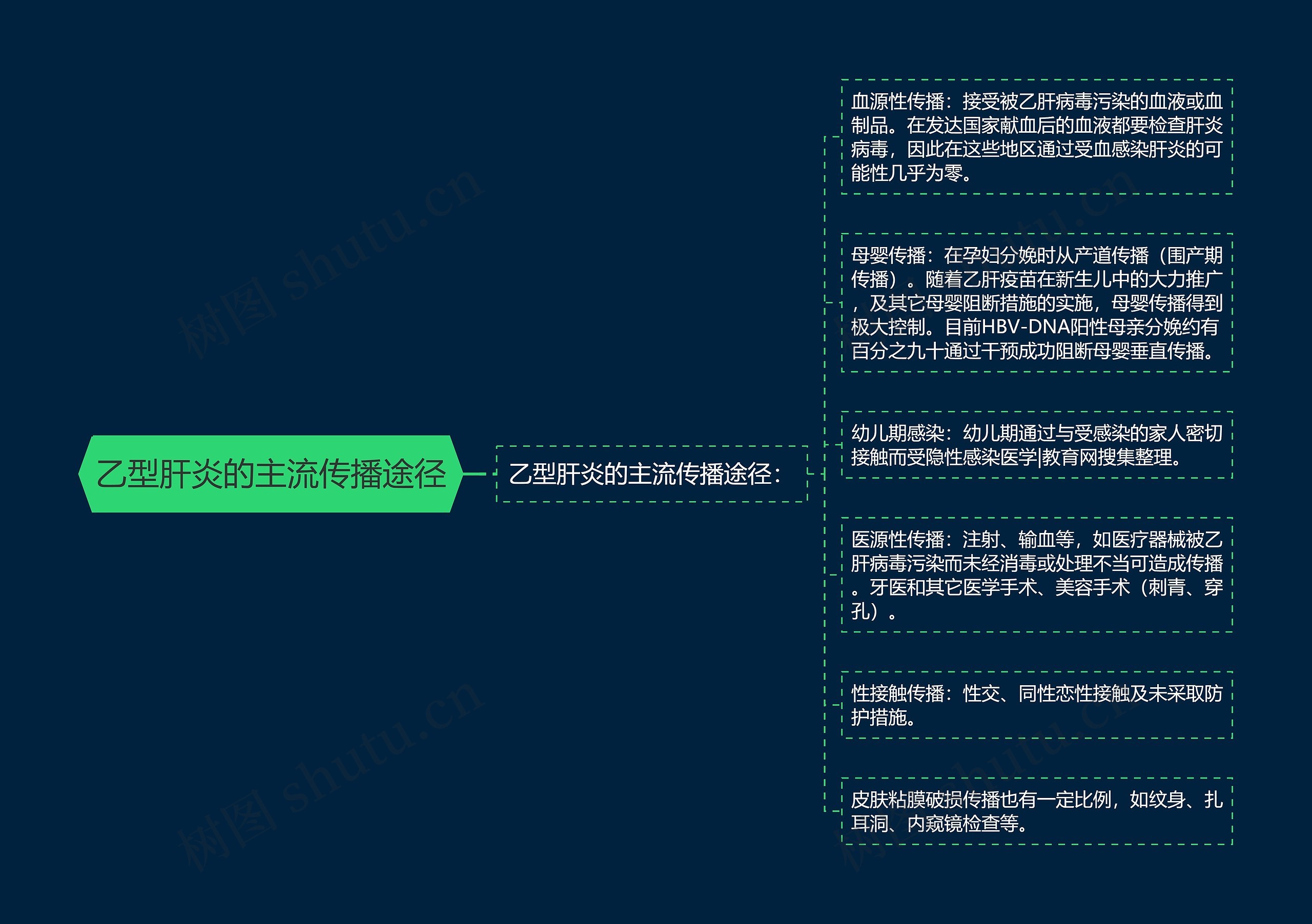 乙型肝炎的主流传播途径思维导图