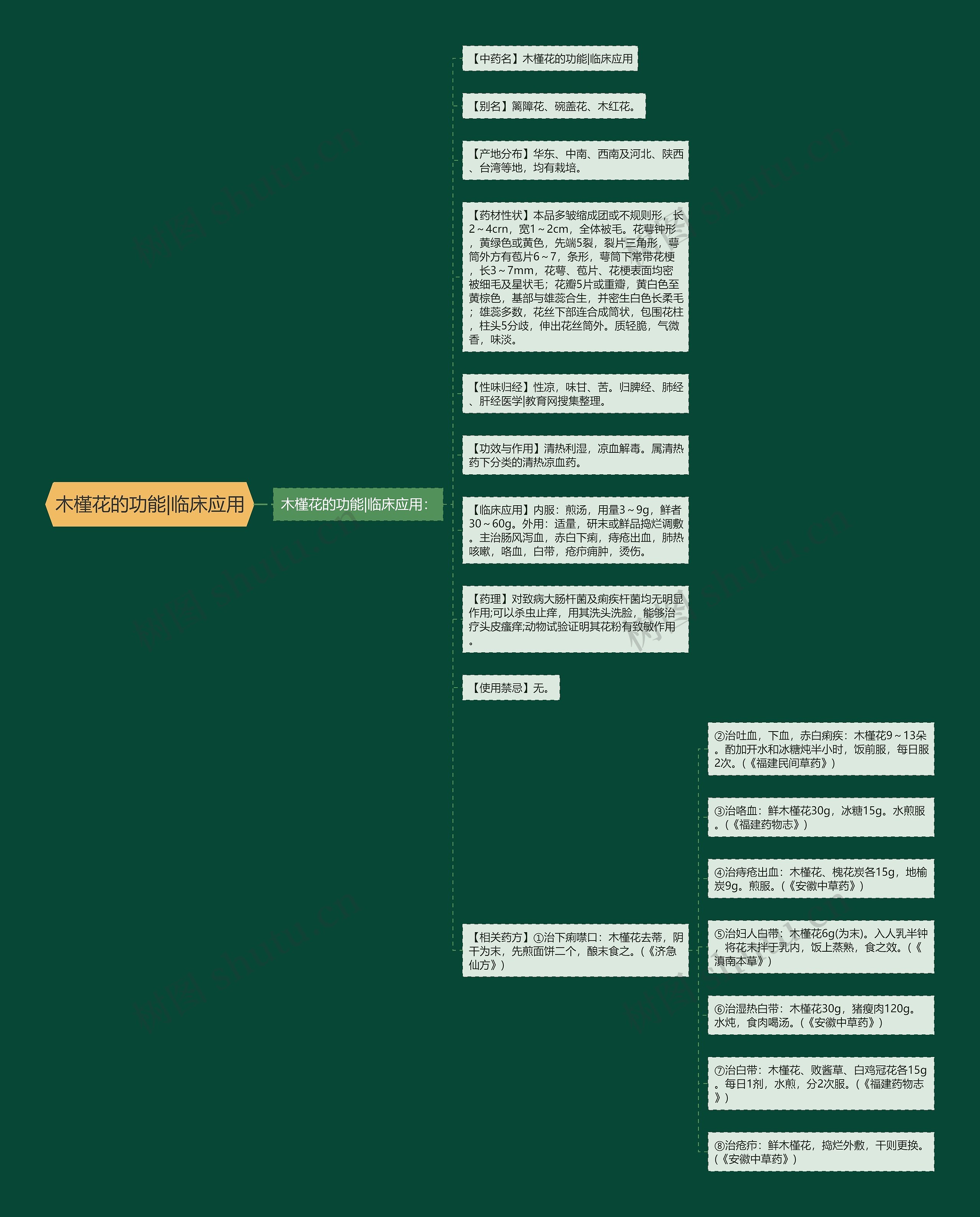 木槿花的功能|临床应用思维导图