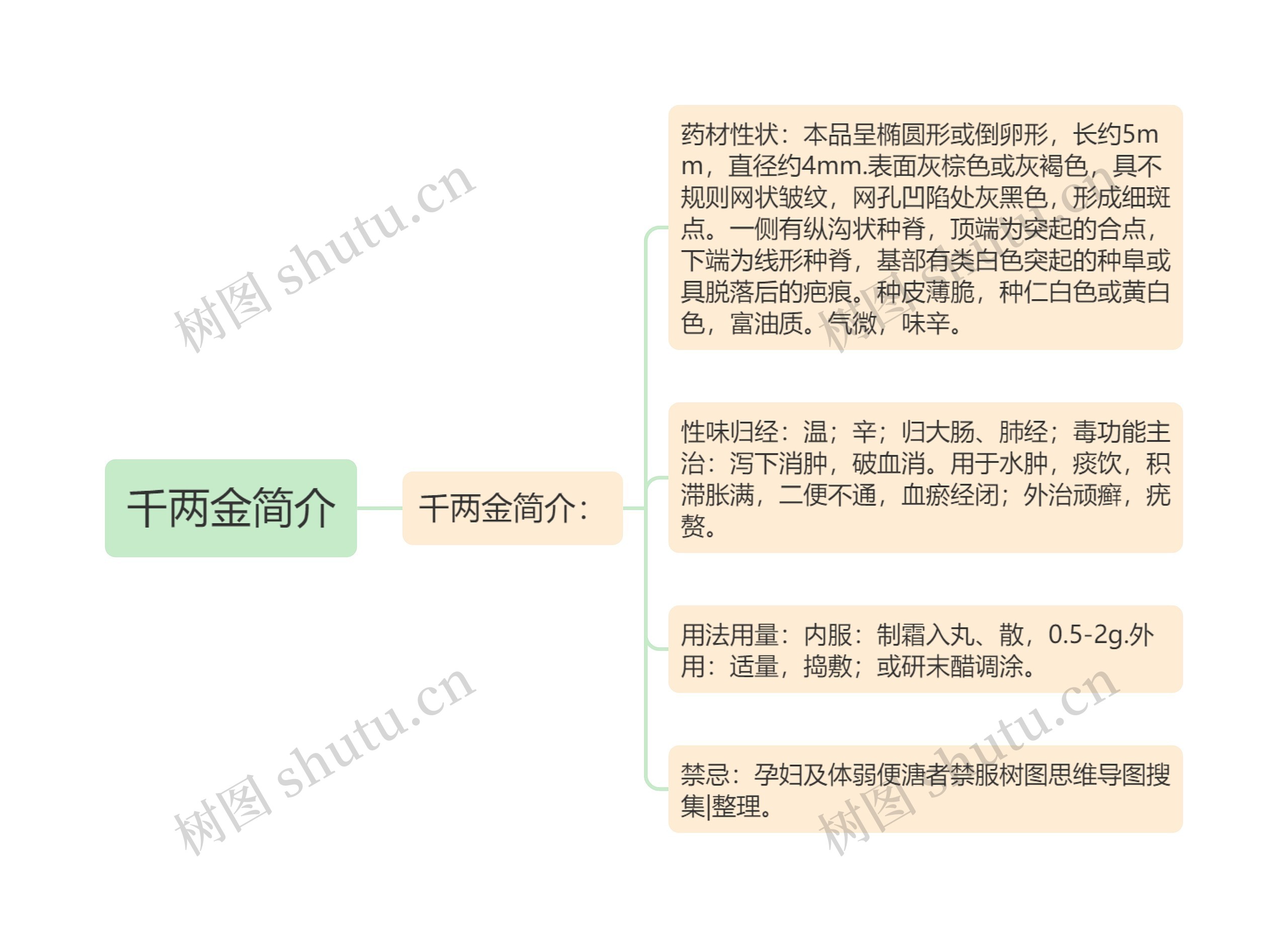 千两金简介思维导图