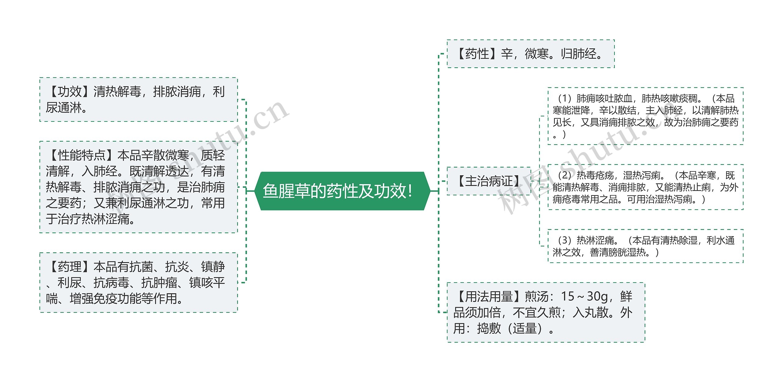 鱼腥草的药性及功效！思维导图