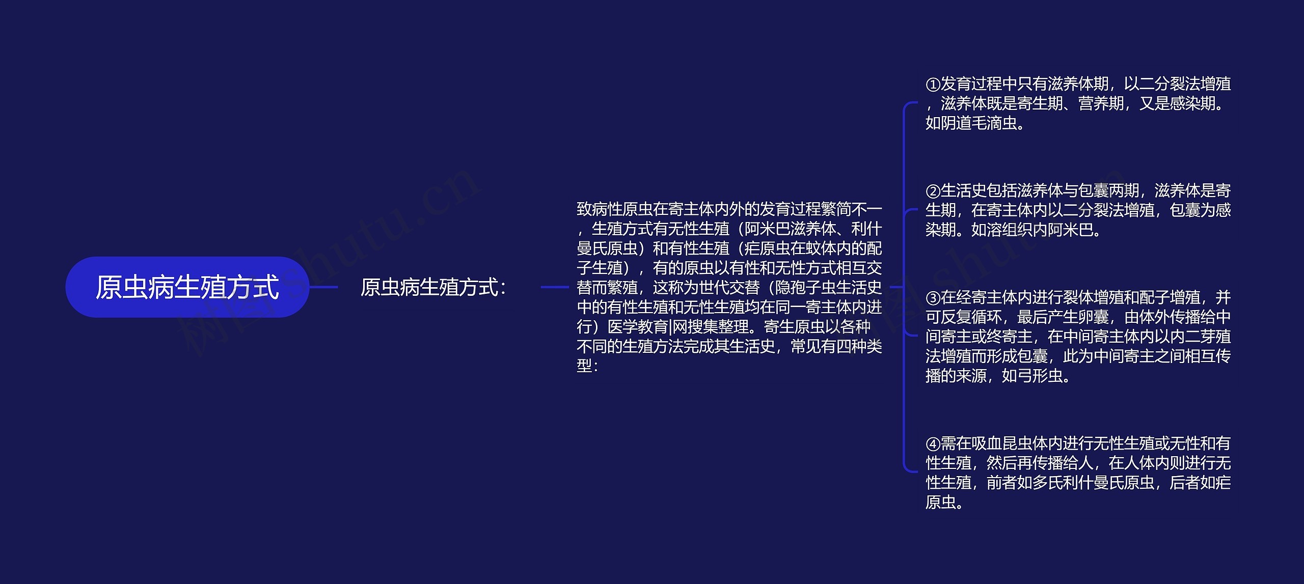 原虫病生殖方式 原虫病生殖方式