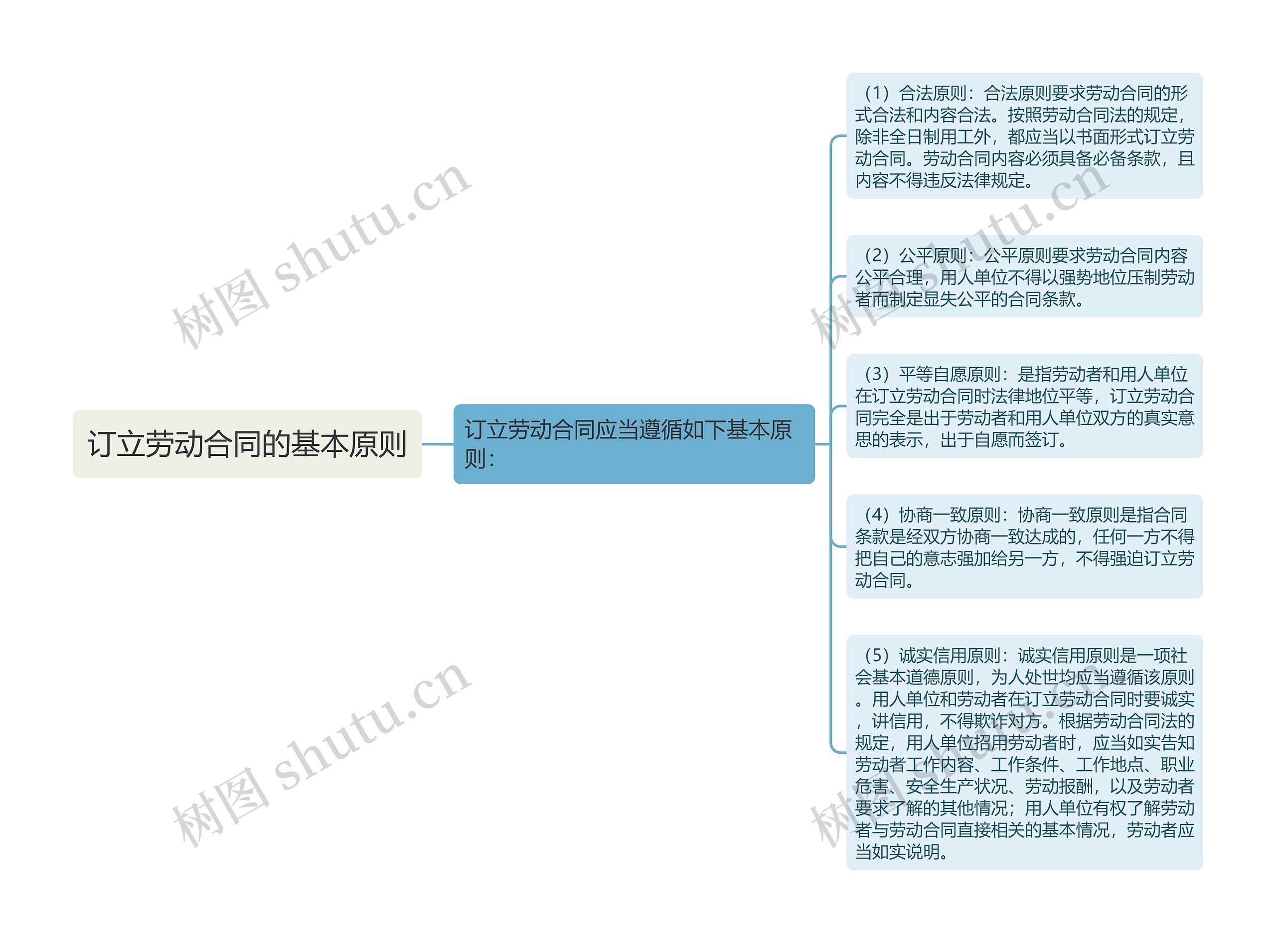 订立劳动合同的基本原则思维导图