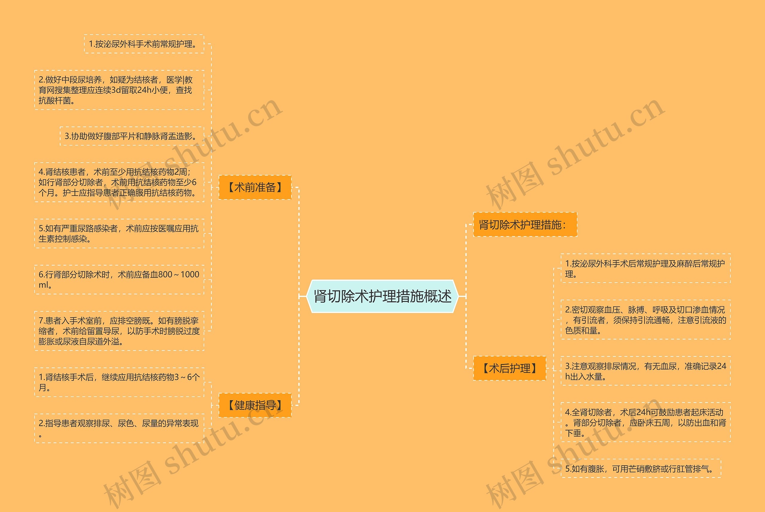 肾切除术护理措施概述思维导图