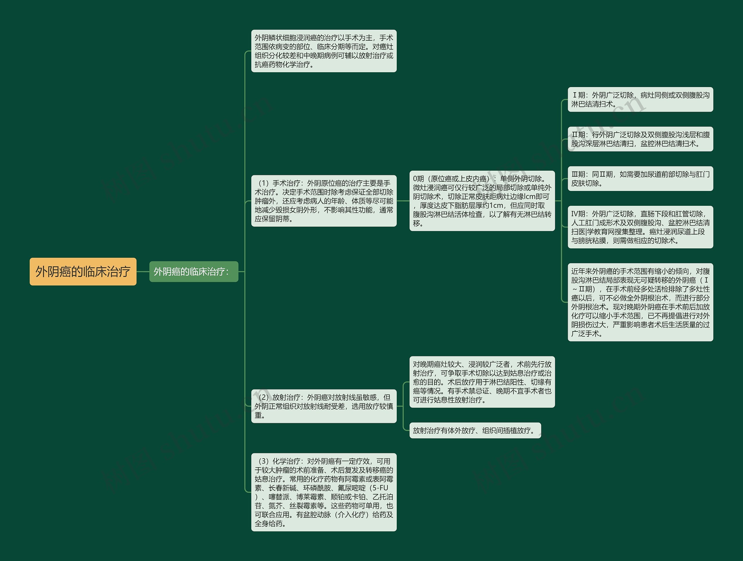 外阴癌的临床治疗思维导图