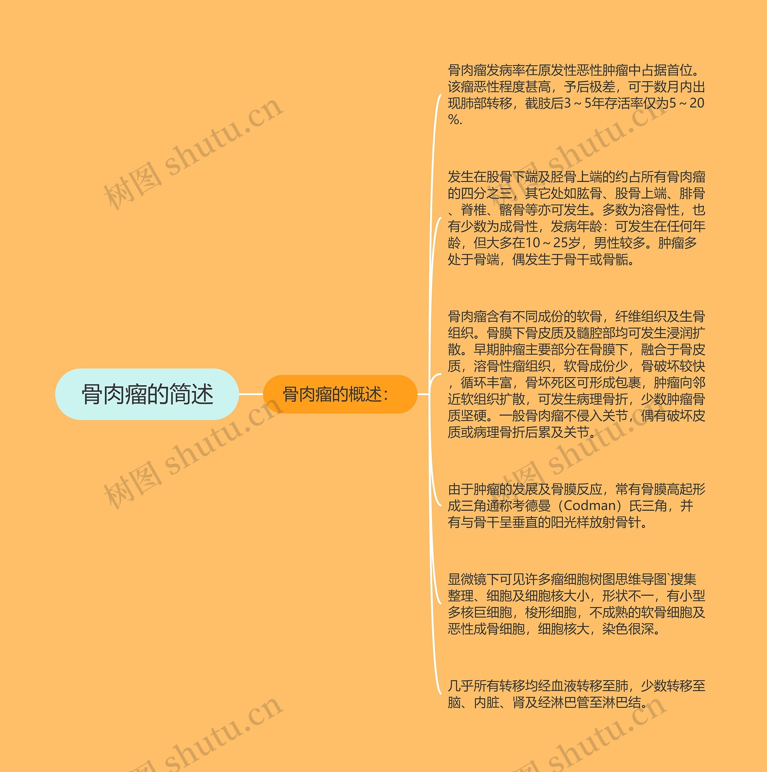 骨肉瘤的简述 骨肉瘤的简述