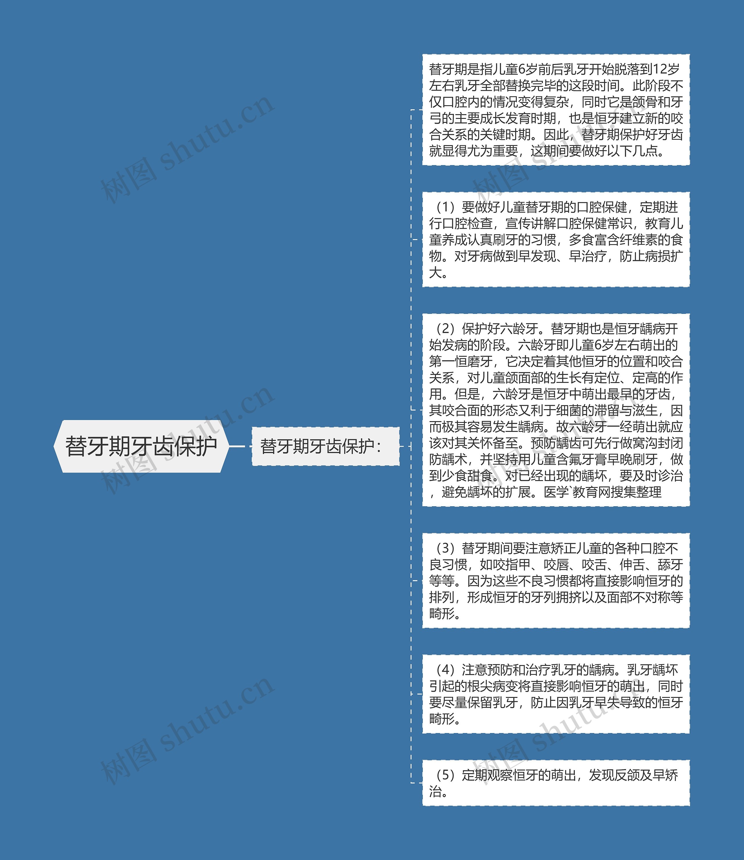 替牙期牙齿保护思维导图