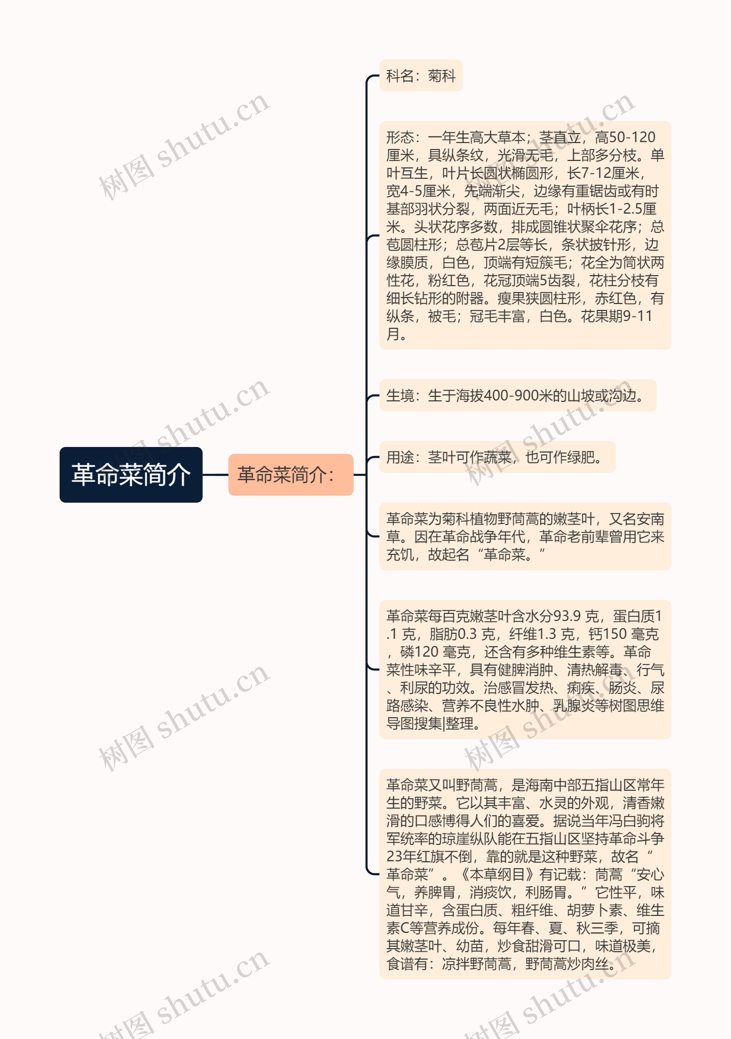 革命菜简介思维导图