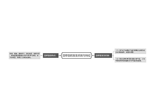 湿啰音的发生机制与特征