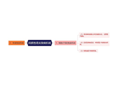 间质性肾炎发病机制