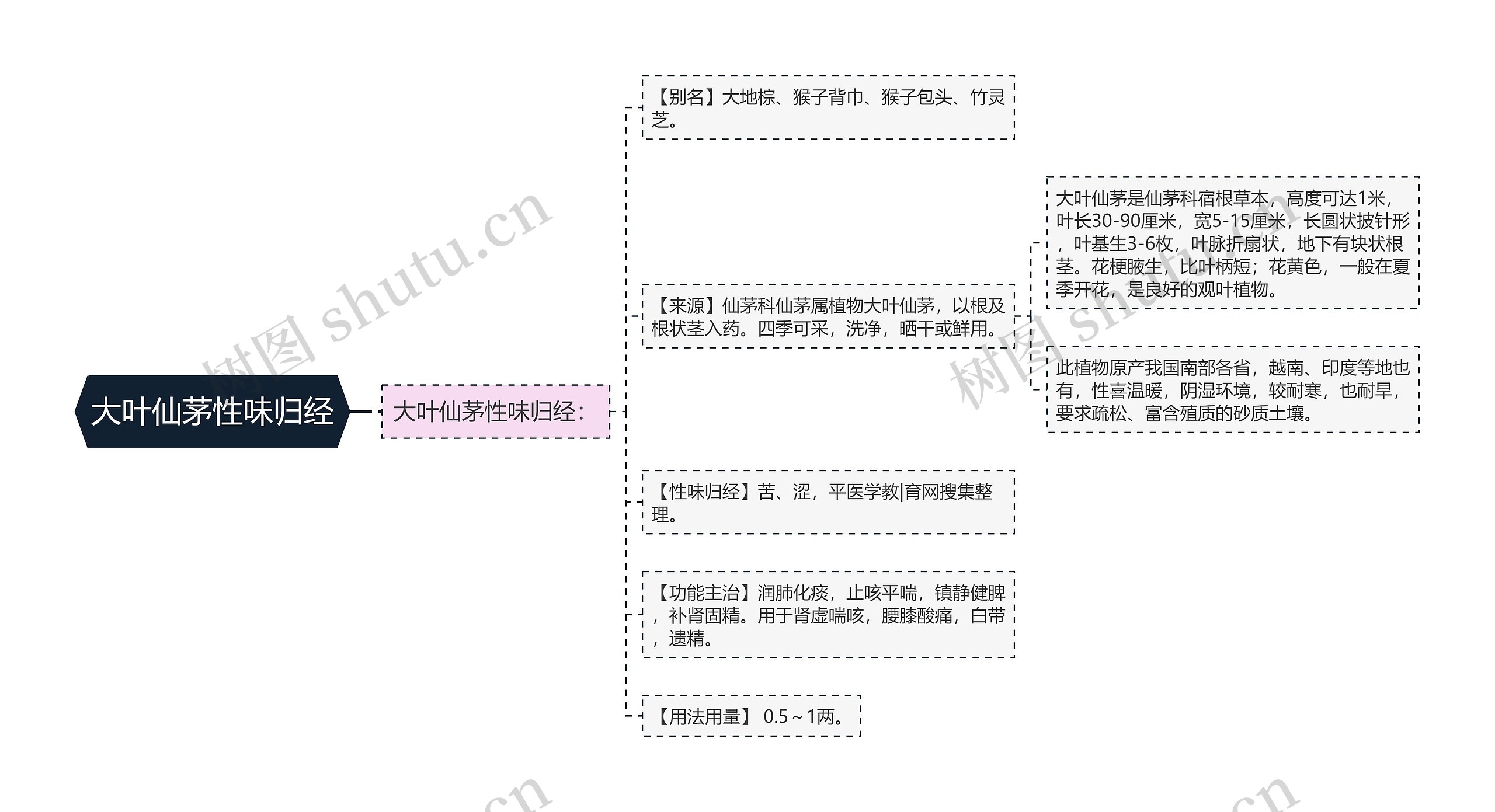 大叶仙茅性味归经思维导图