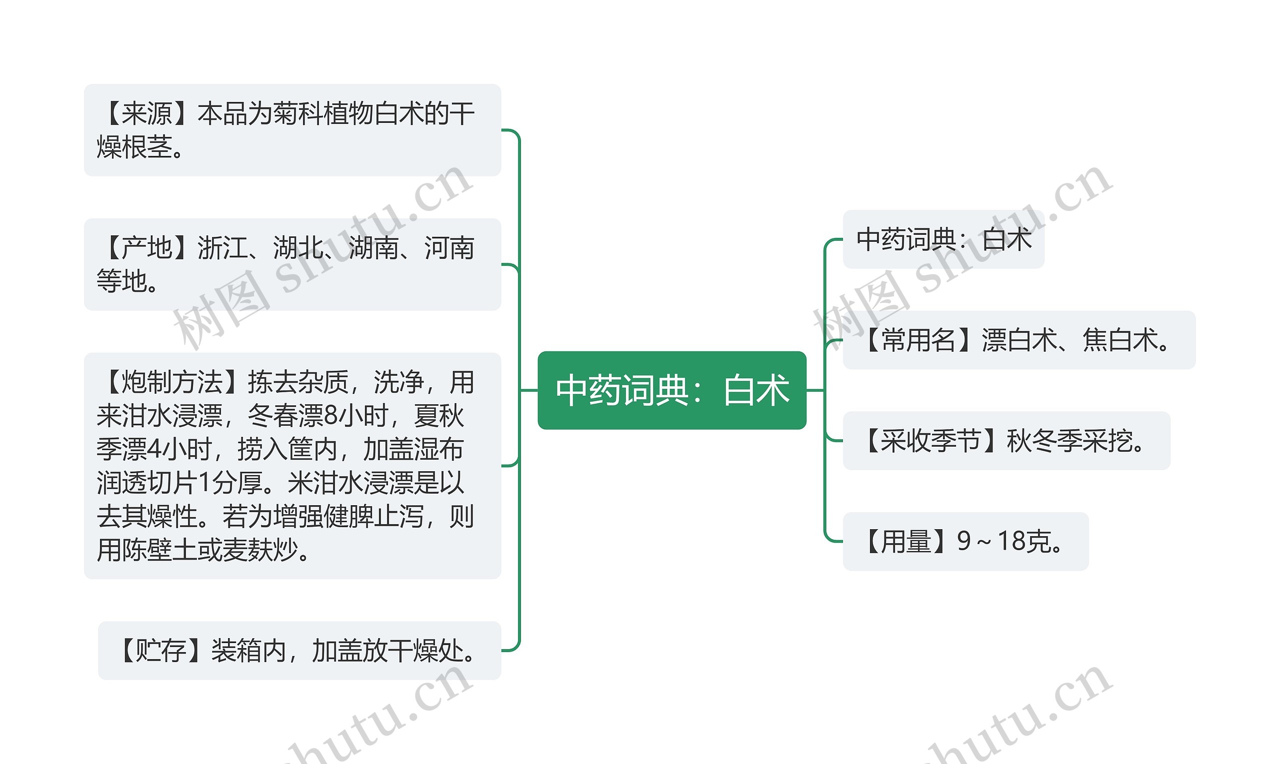 中药词典：白术思维导图