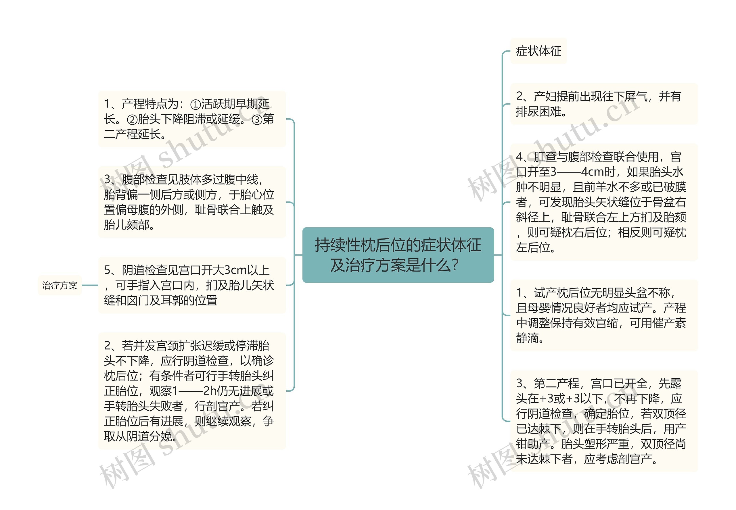 持续性枕后位的症状体征及治疗方案是什么？思维导图