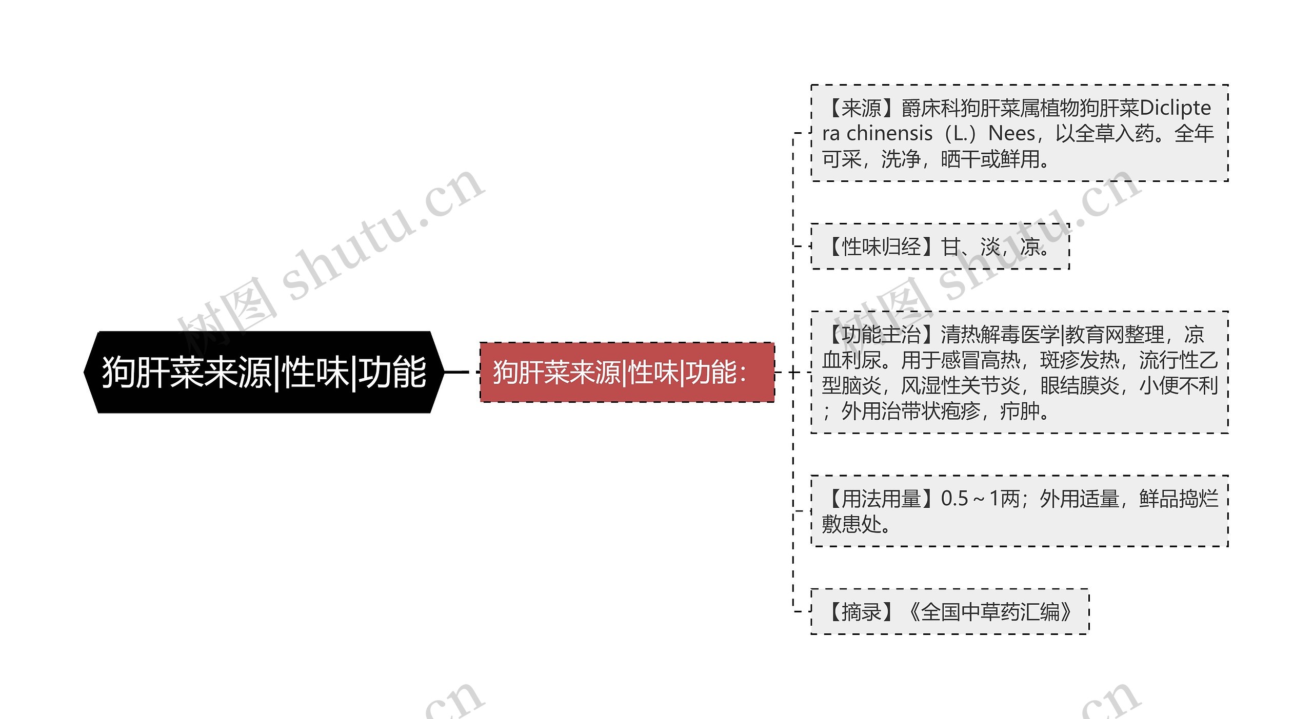狗肝菜来源|性味|功能 狗肝菜来源|性味|功能