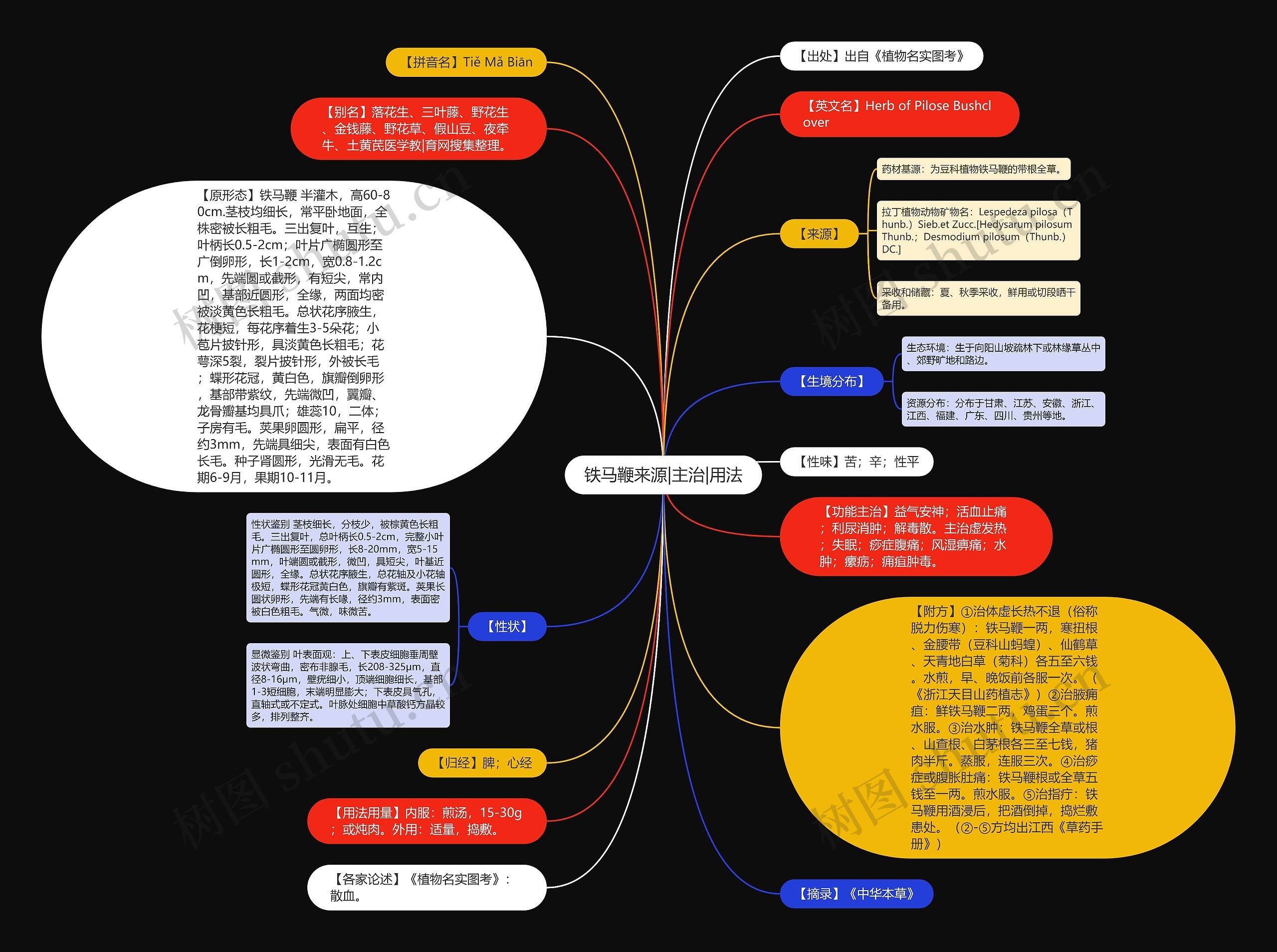 铁马鞭来源|主治|用法思维导图