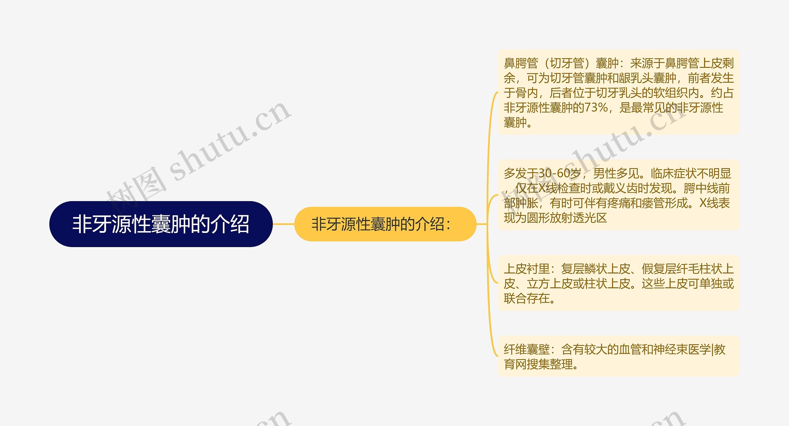 非牙源性囊肿的介绍 非牙源性囊肿的介绍