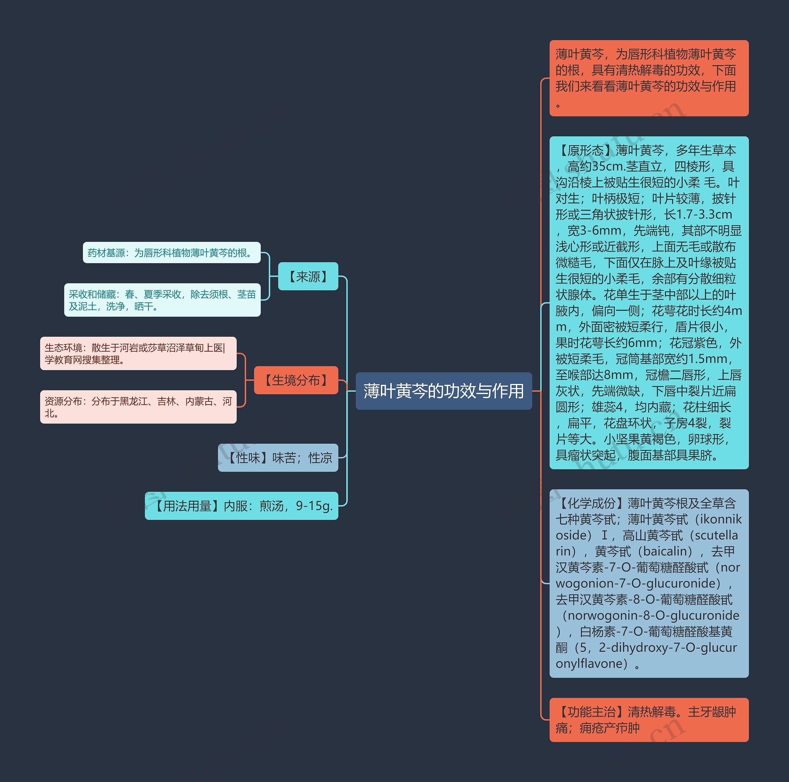 薄叶黄芩的功效与作用思维导图