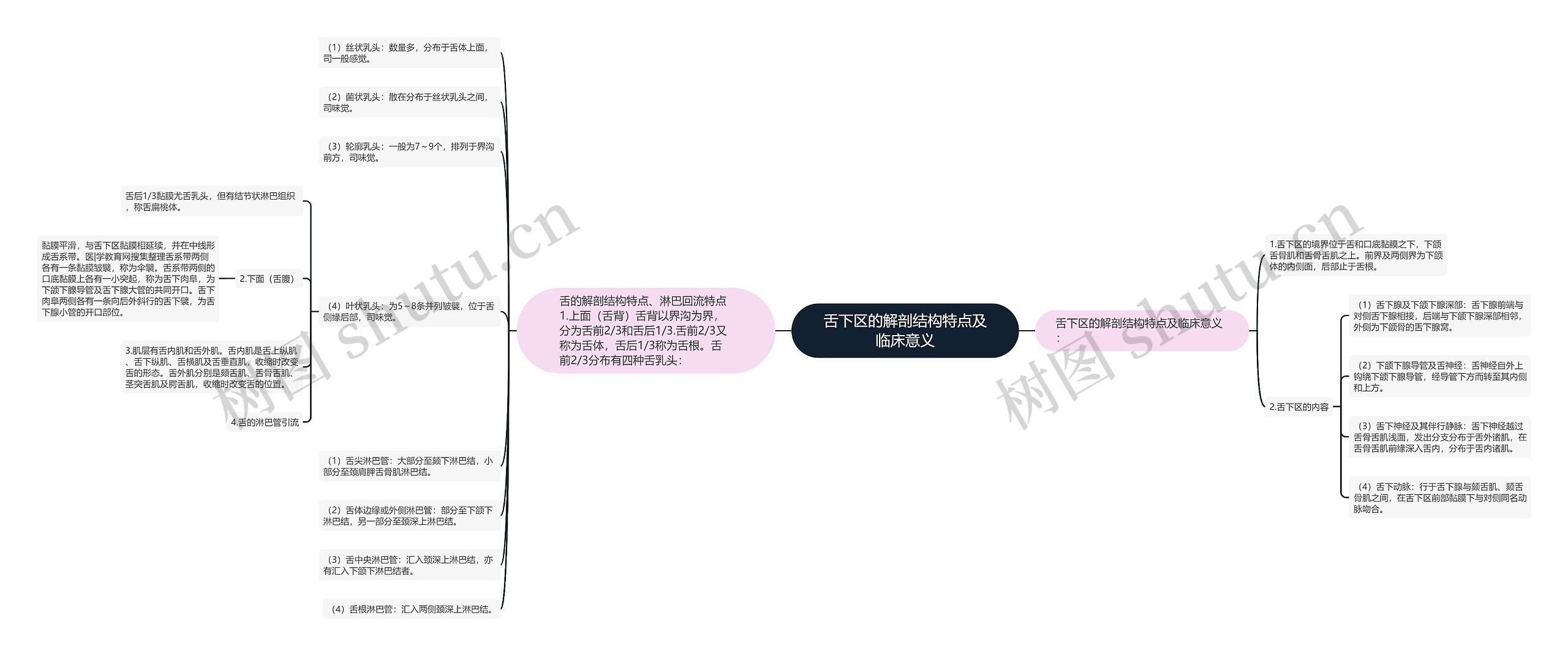 舌下区的解剖结构特点及临床意义思维导图