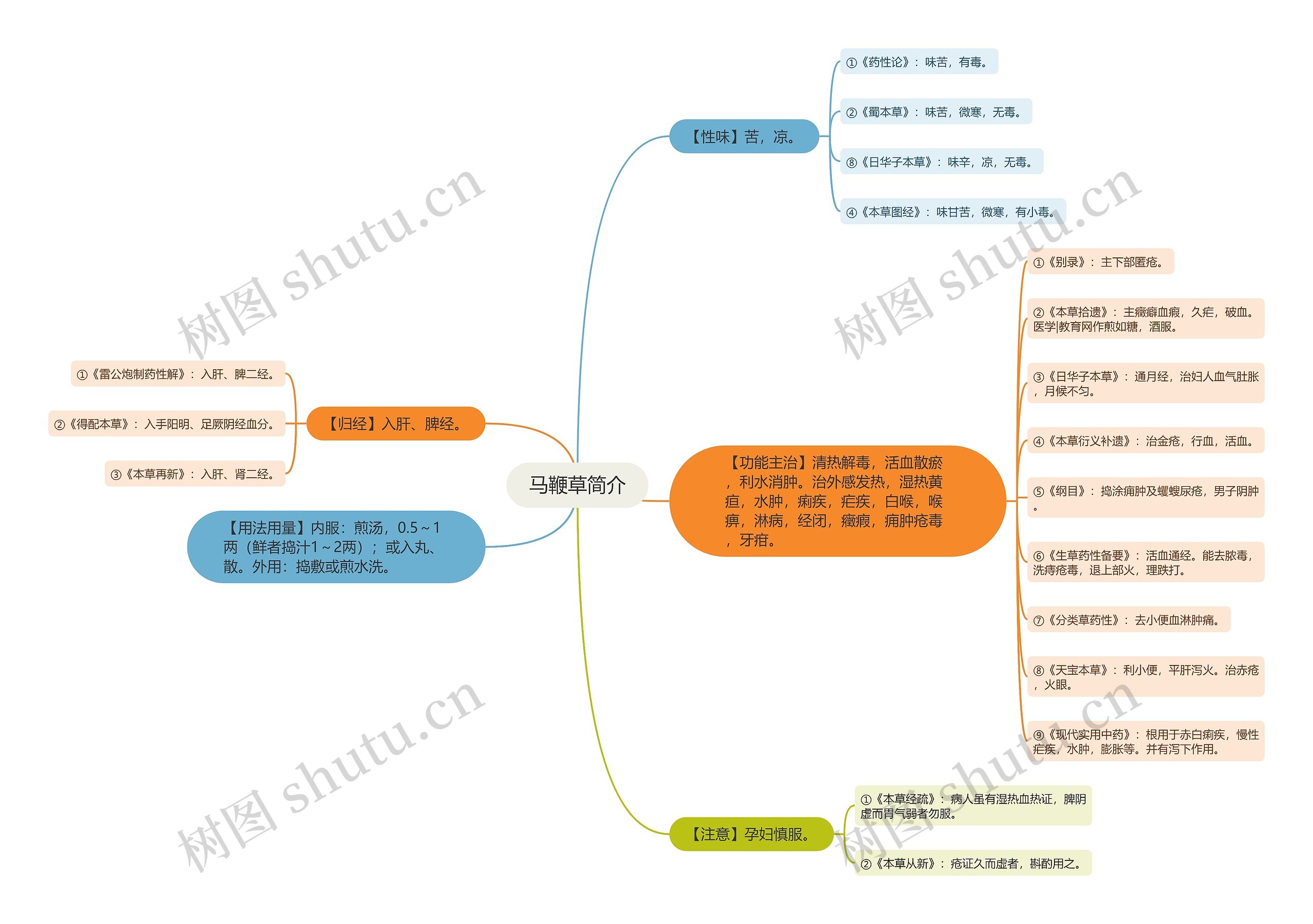 马鞭草简介 马鞭草简介