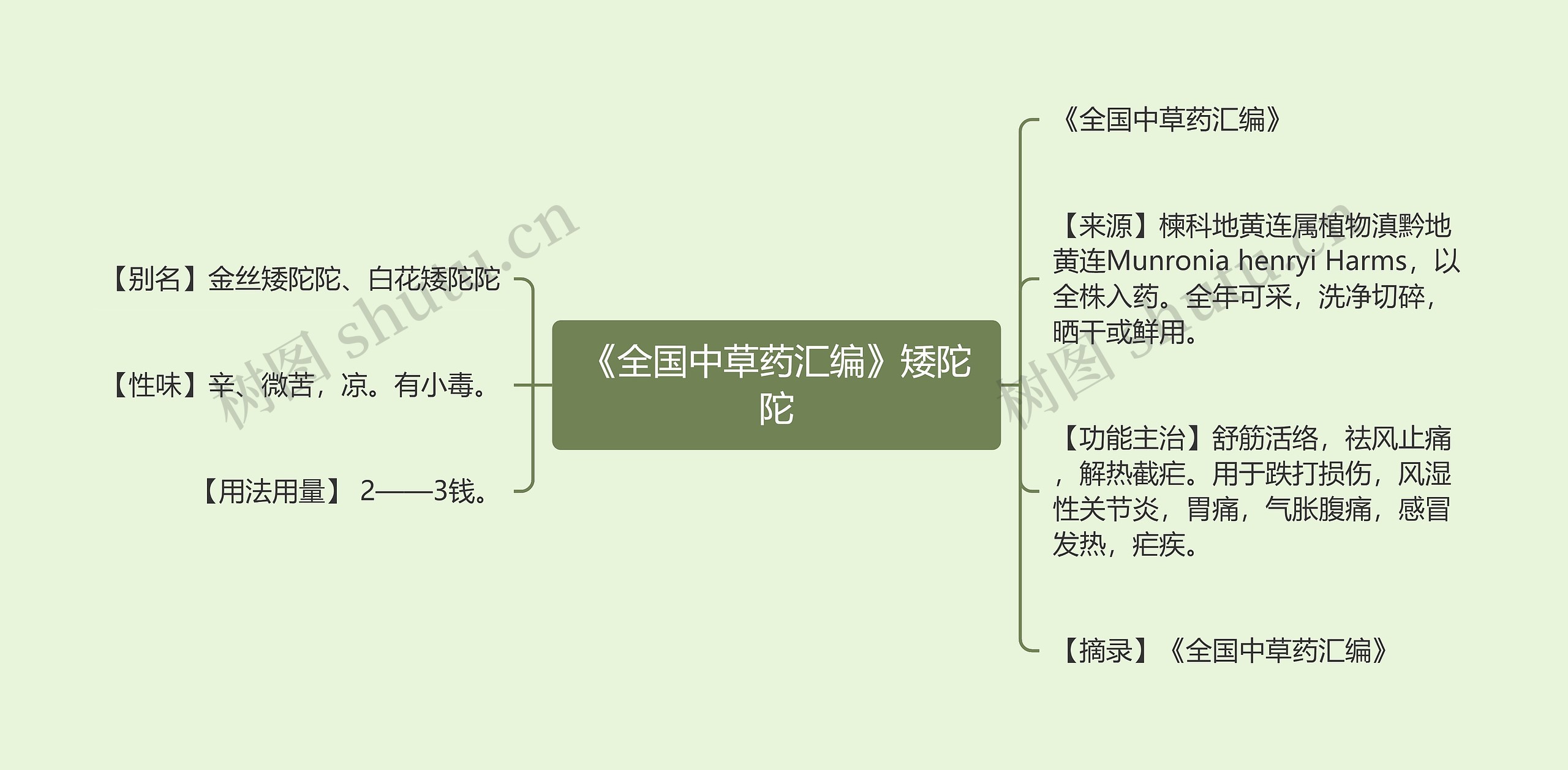 《全国中草药汇编》矮陀陀思维导图