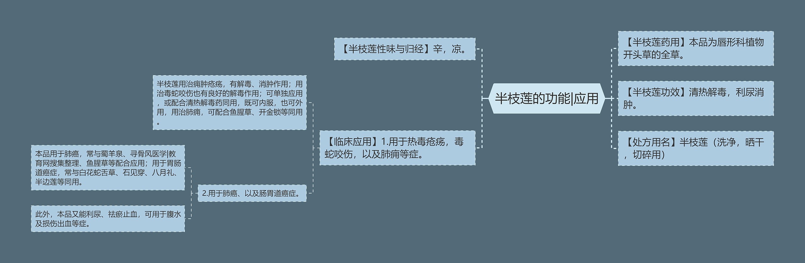 半枝莲的功能|应用思维导图