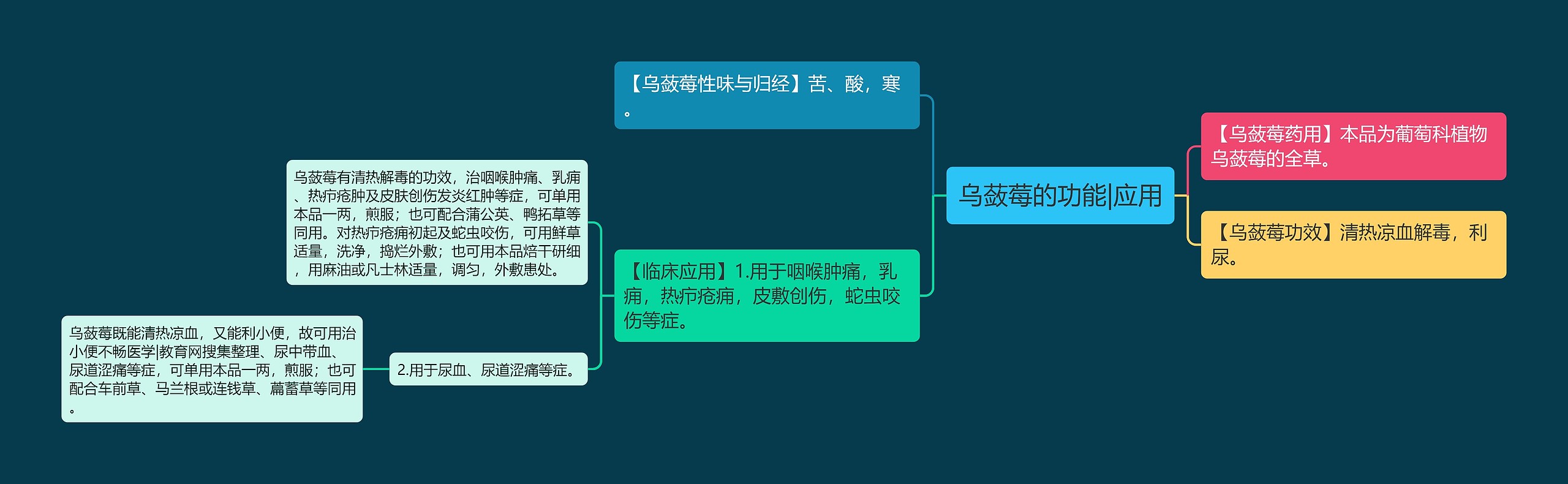 乌蔹莓的功能|应用思维导图